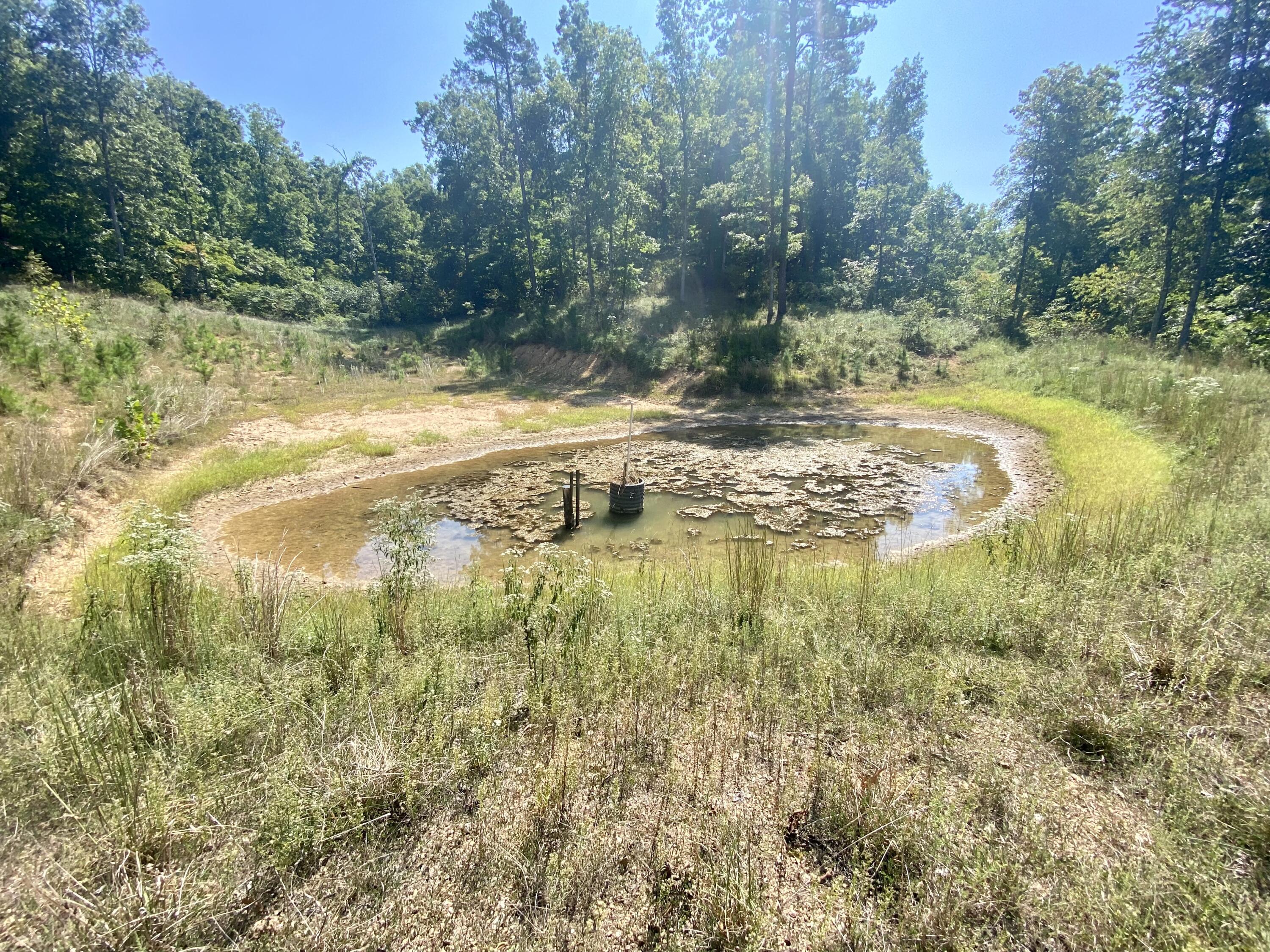Photo 12 - Land for sale – 000  County Road 550   Ellington, MO