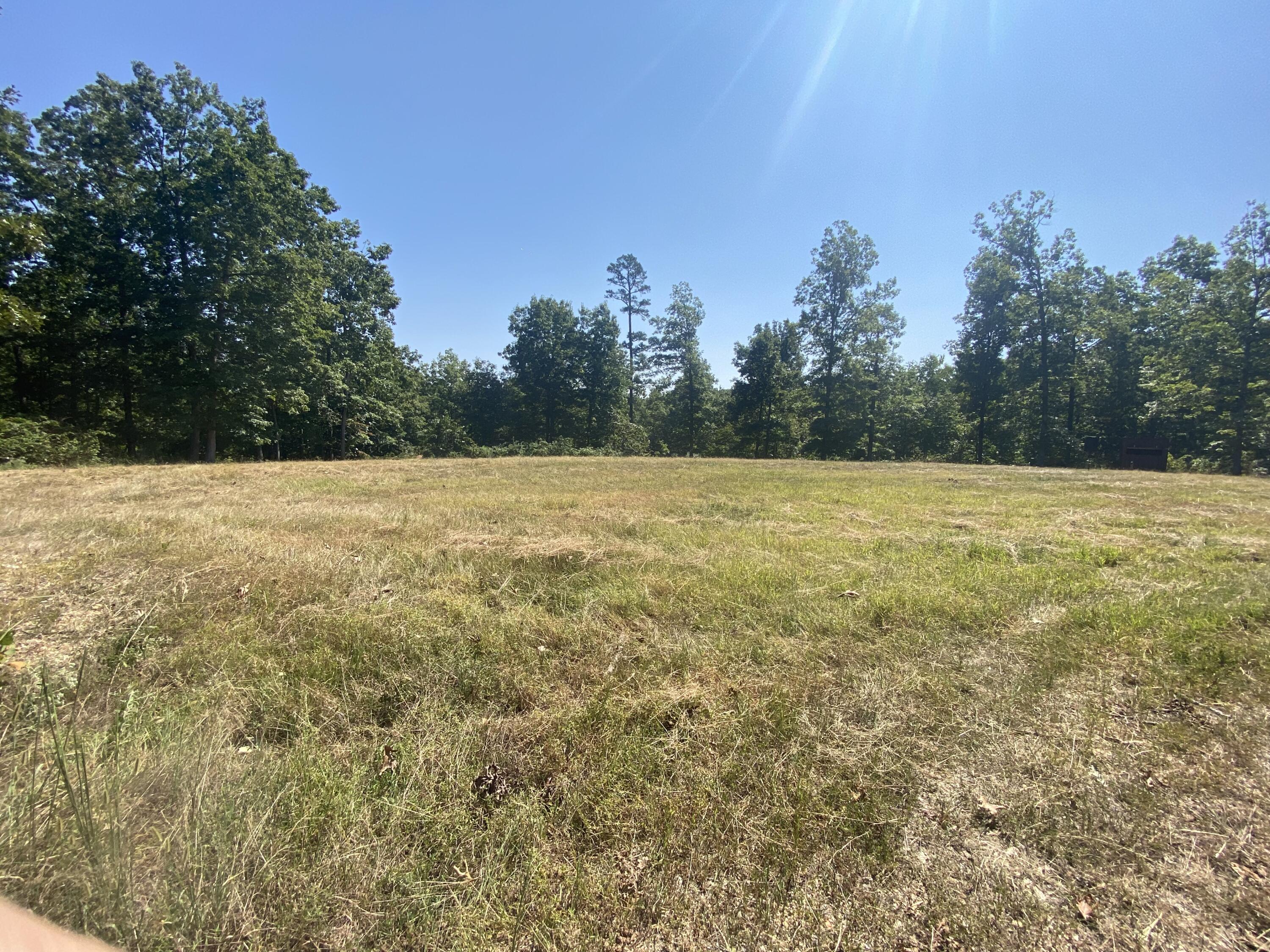 Photo 10 - Land for sale – 000  County Road 550   Ellington, MO