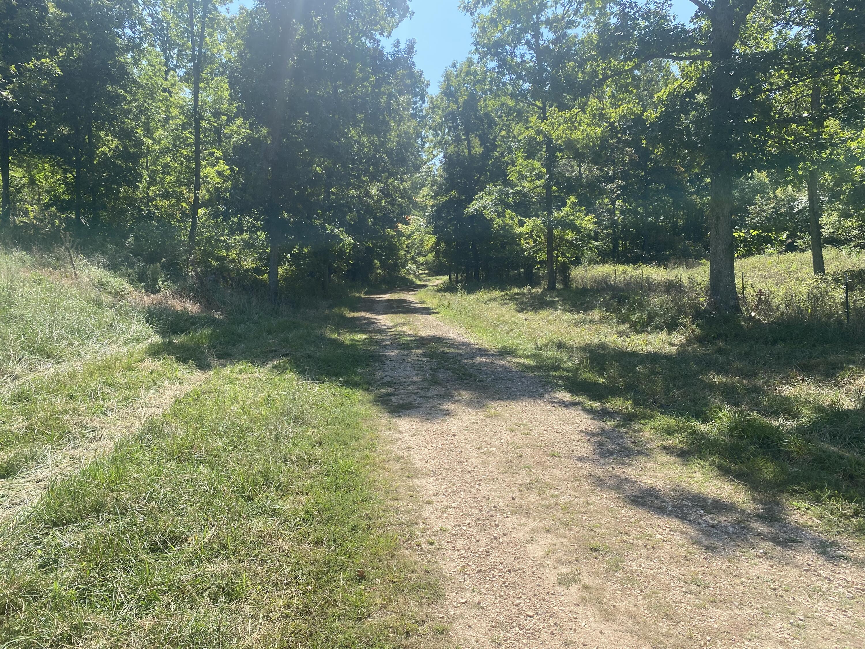 Photo 3 - Land for sale – 000  County Road 550   Ellington, MO