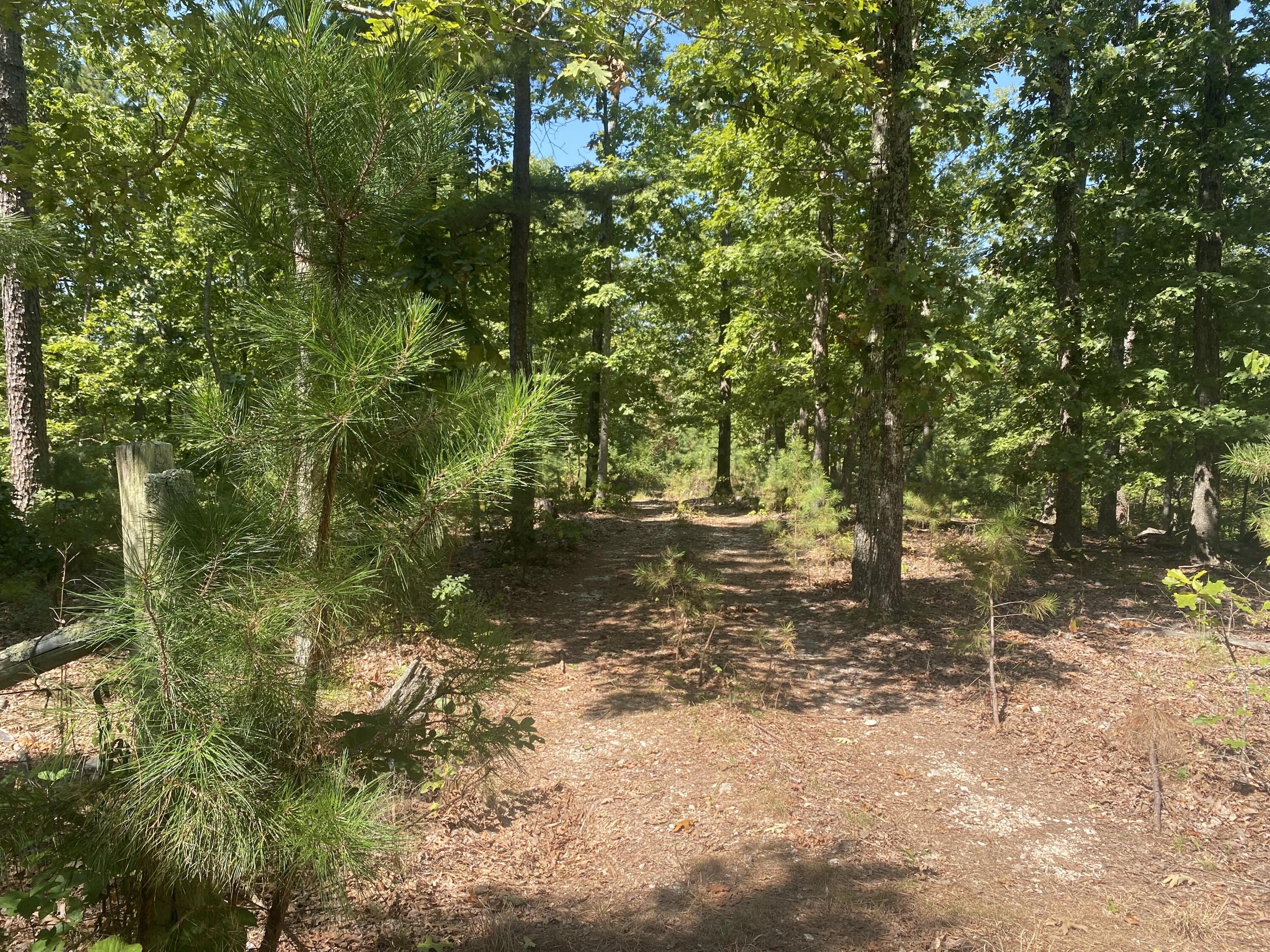 Photo 9 - Land for sale – 000  County Road 550   Ellington, MO