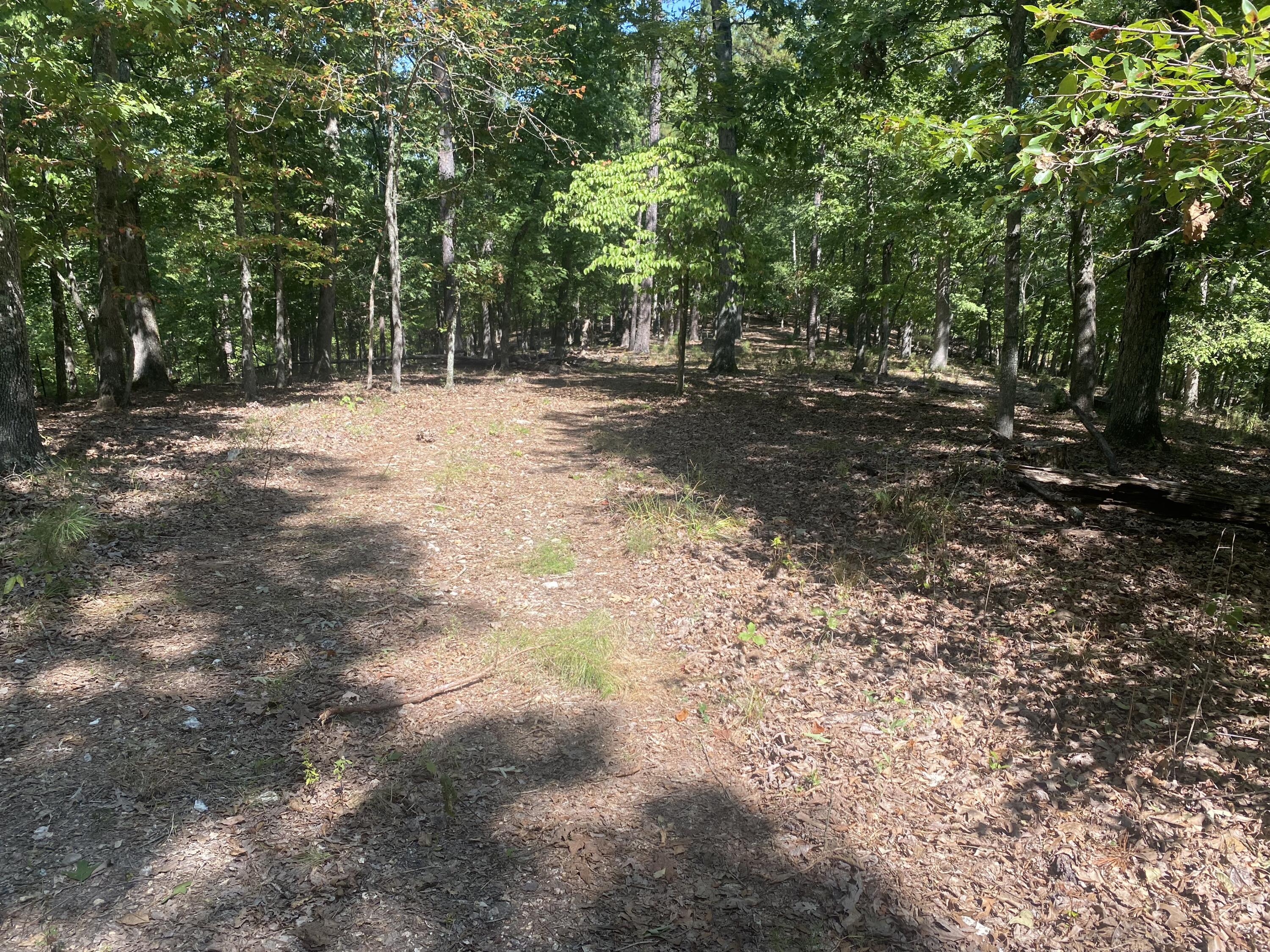 Photo 11 - Land for sale – 000  County Road 550   Ellington, MO