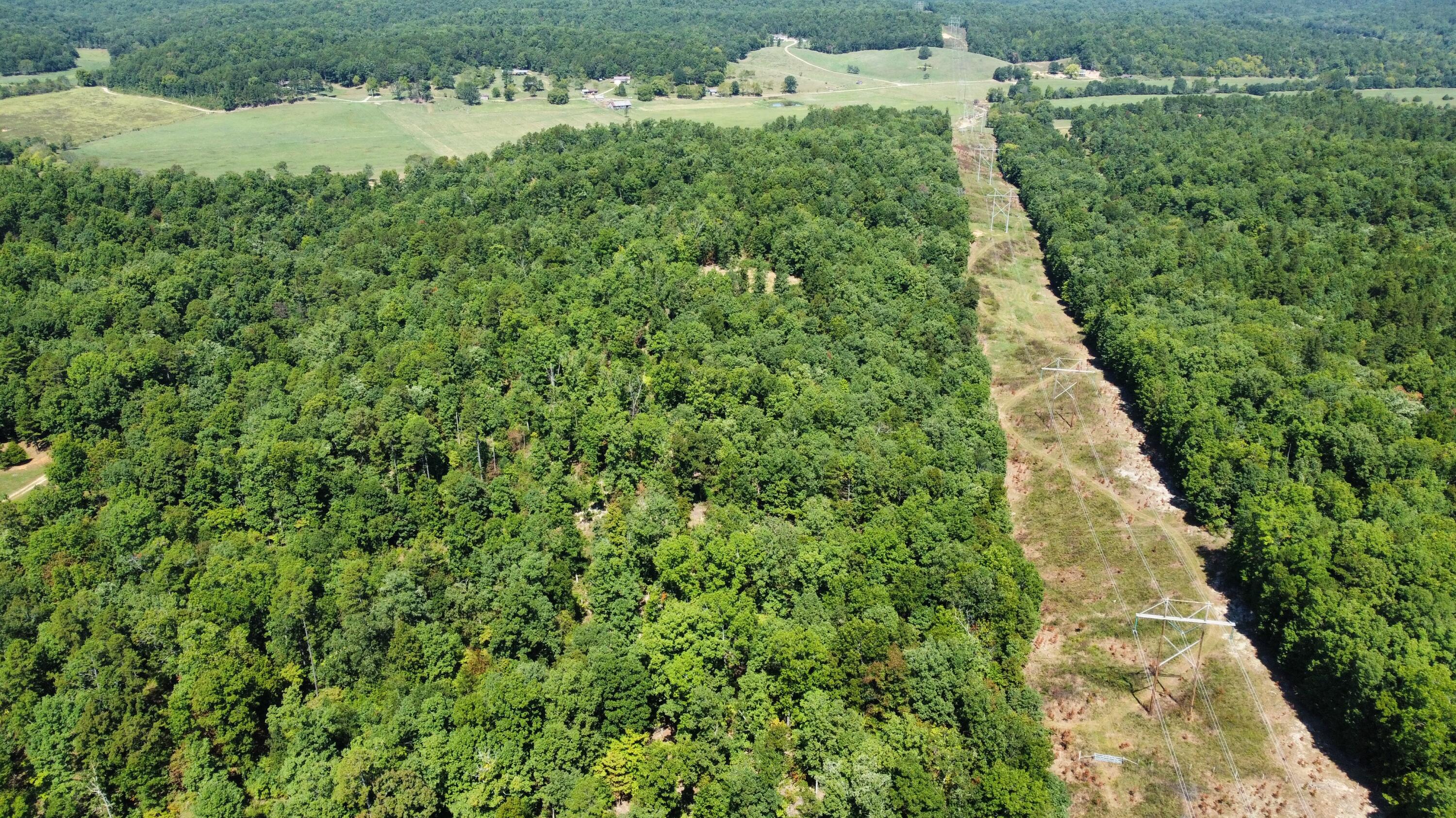 Photo 5 - Land for sale – 000  County Road 550   Ellington, MO