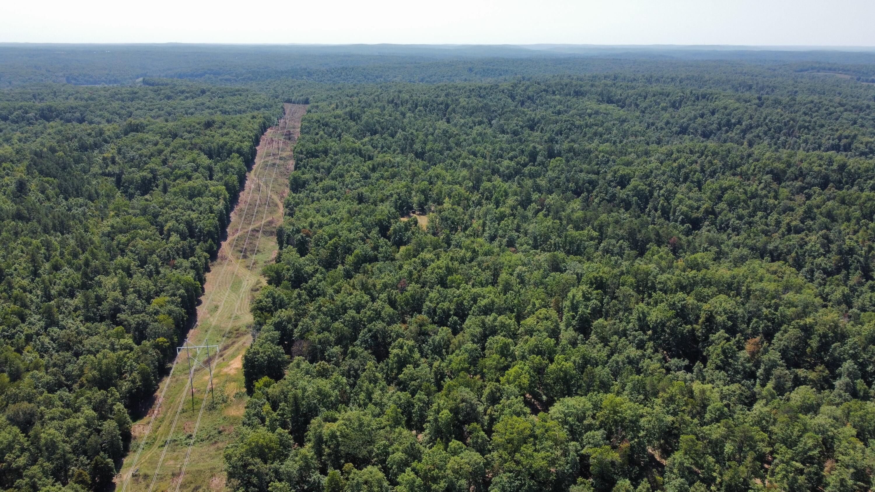 Photo 7 - Land for sale – 000  County Road 550   Ellington, MO