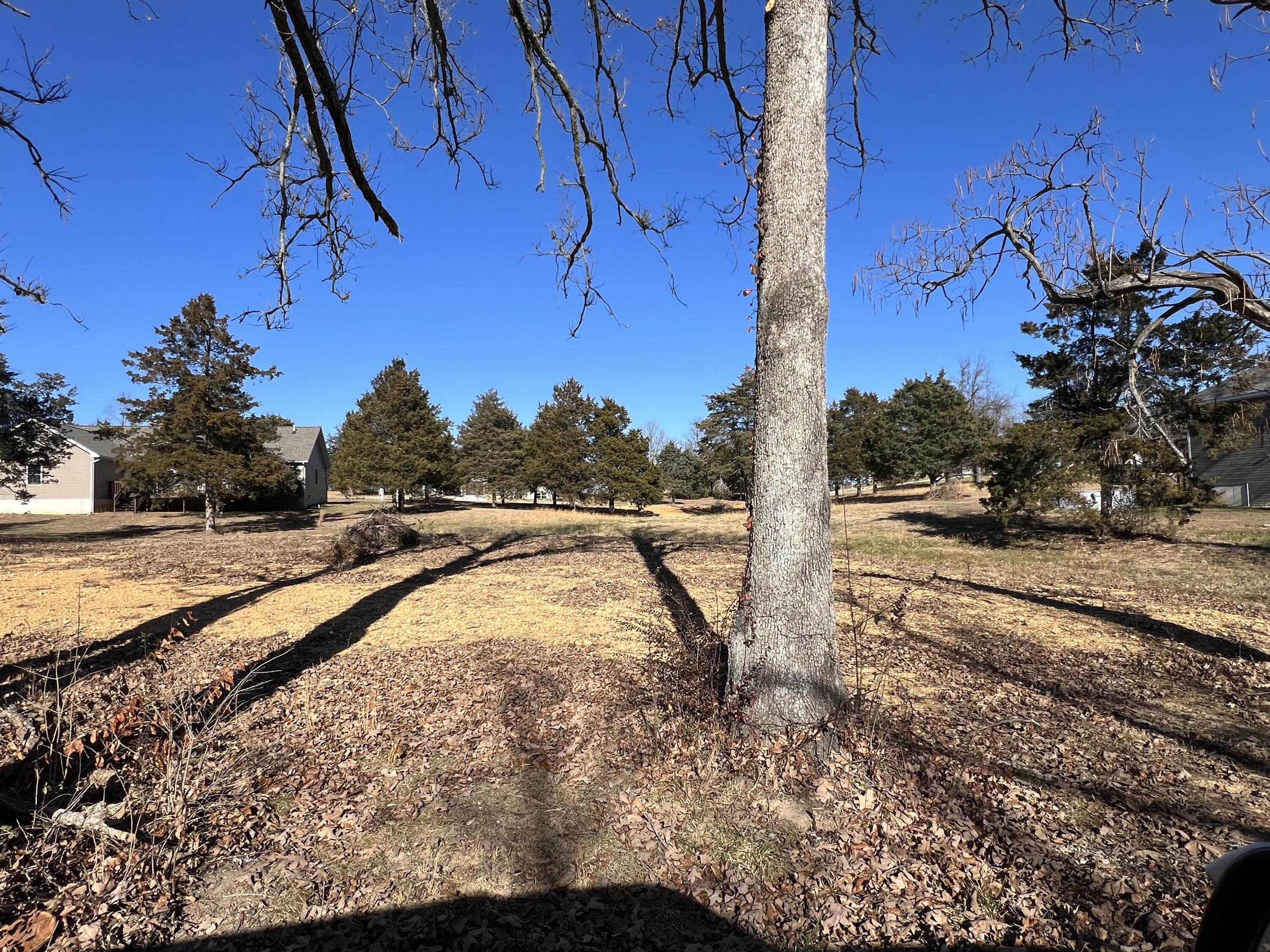 Photo 2 - Land for sale – 3 S Center Street  Willow Springs, MO