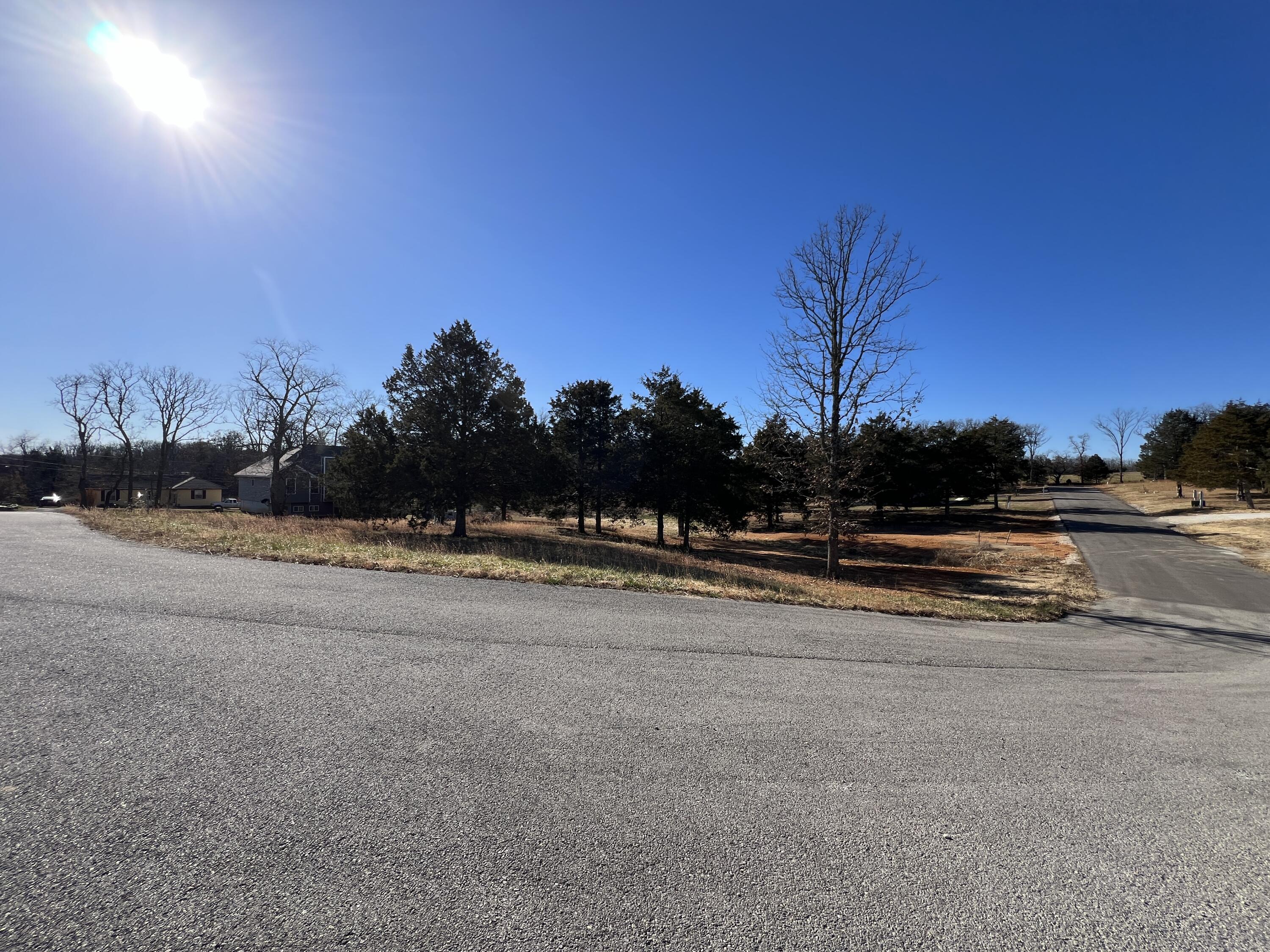 Photo 4 - Land for sale – 4 S Center Street  Willow Springs, MO