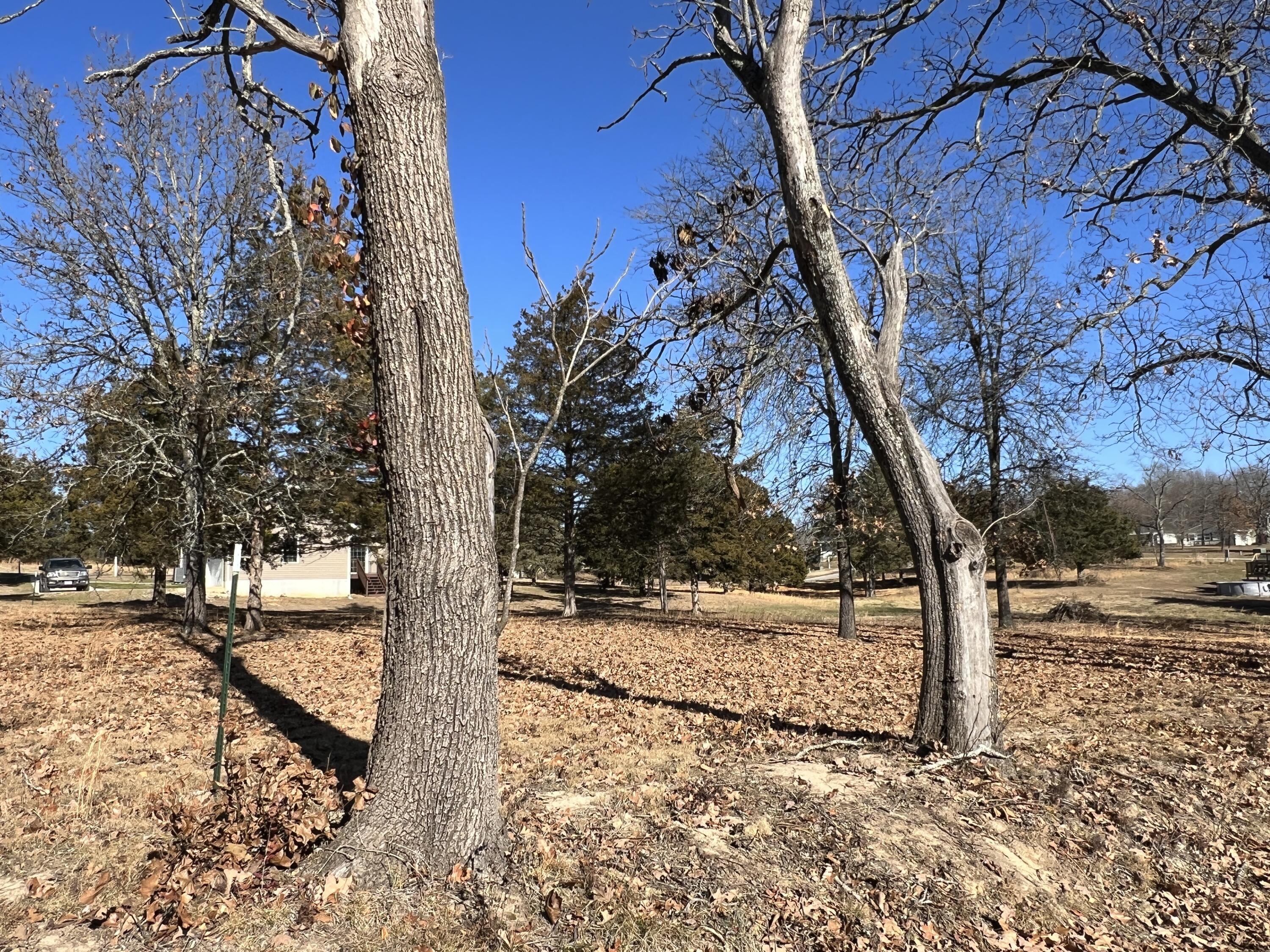 Photo 2 - Land for sale – 4 S Center Street  Willow Springs, MO