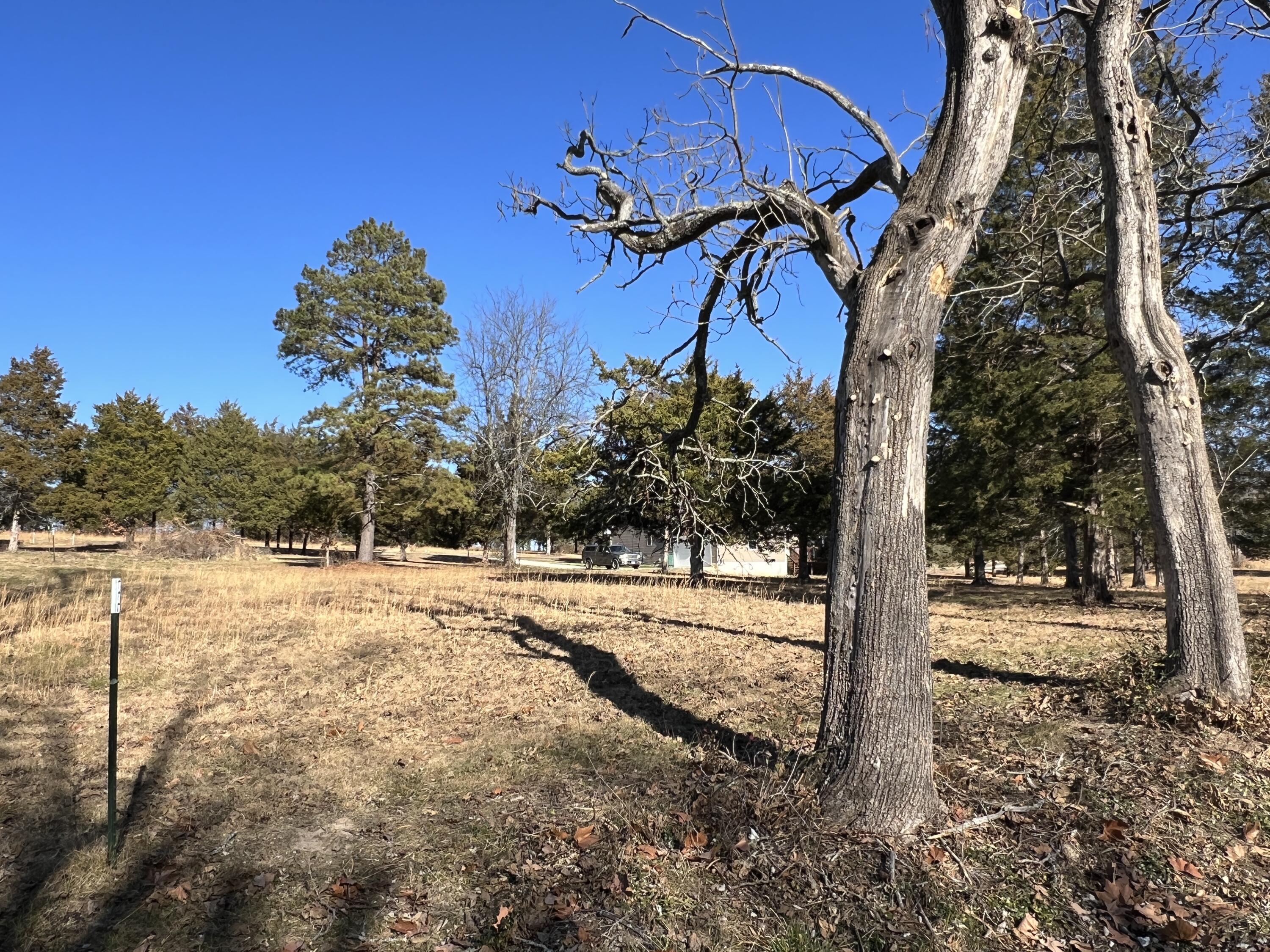 Photo 2 - Land for sale – 5 S Center Street  Willow Springs, MO