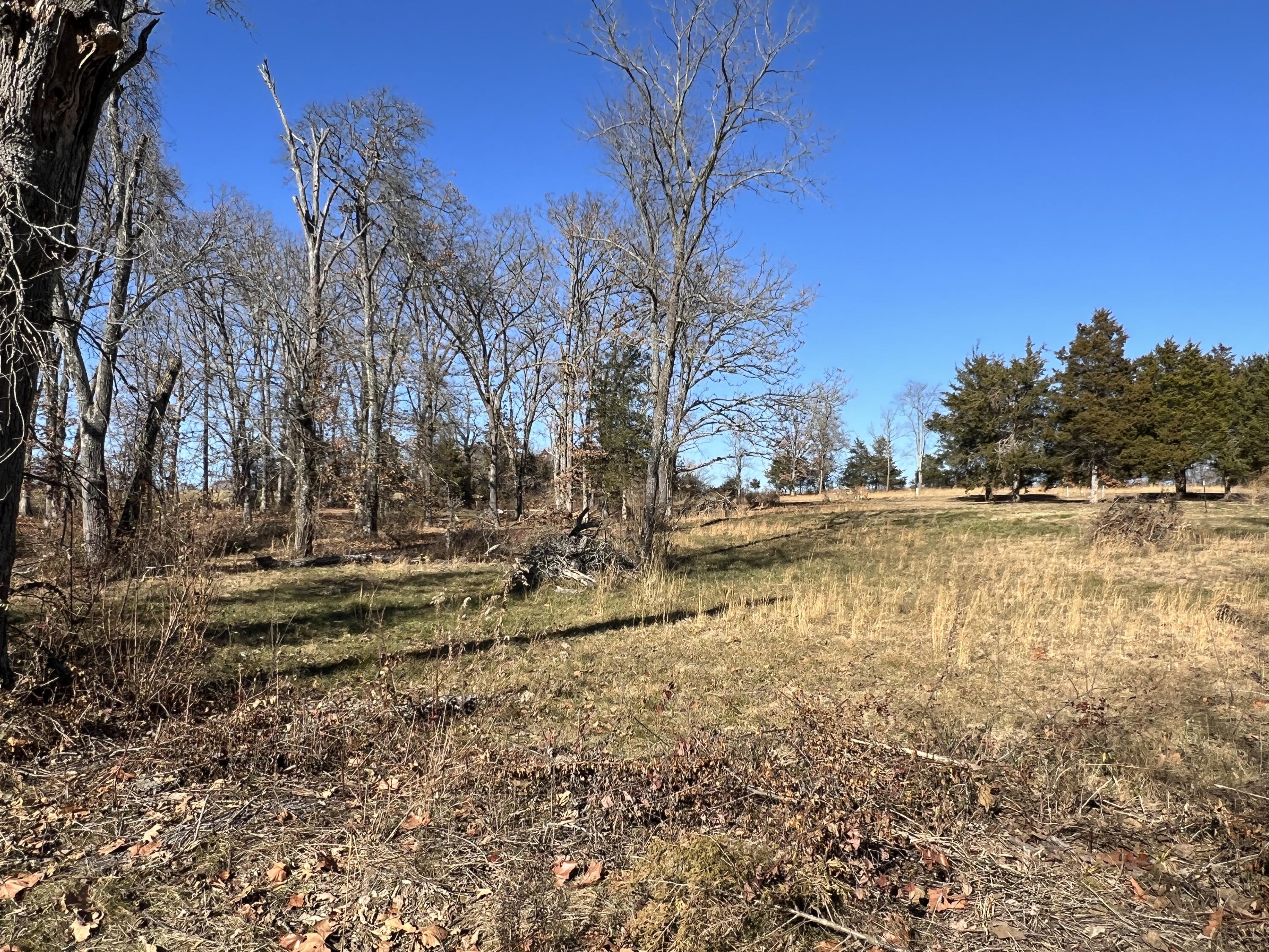 Photo 2 - Land for sale – 6 S Center Street  Willow Springs, MO