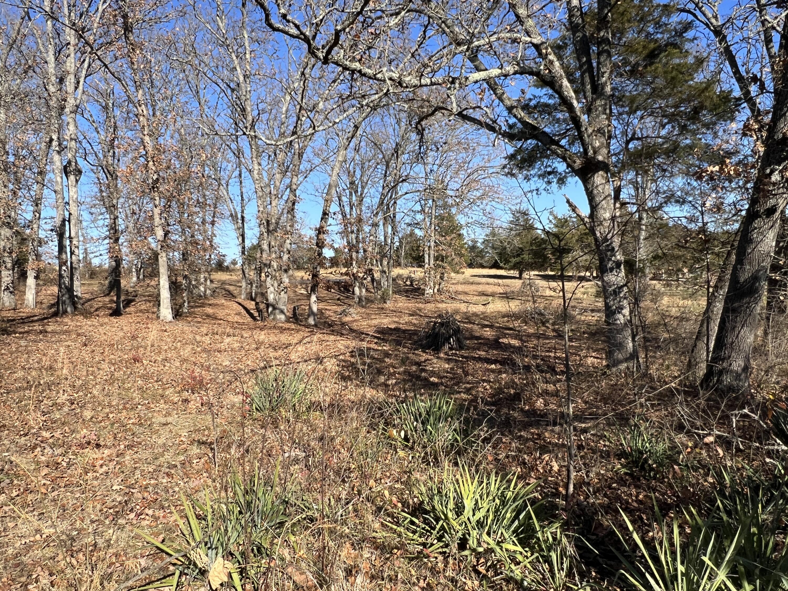 Photo 2 - Land for sale – 7 S Center Street  Willow Springs, MO