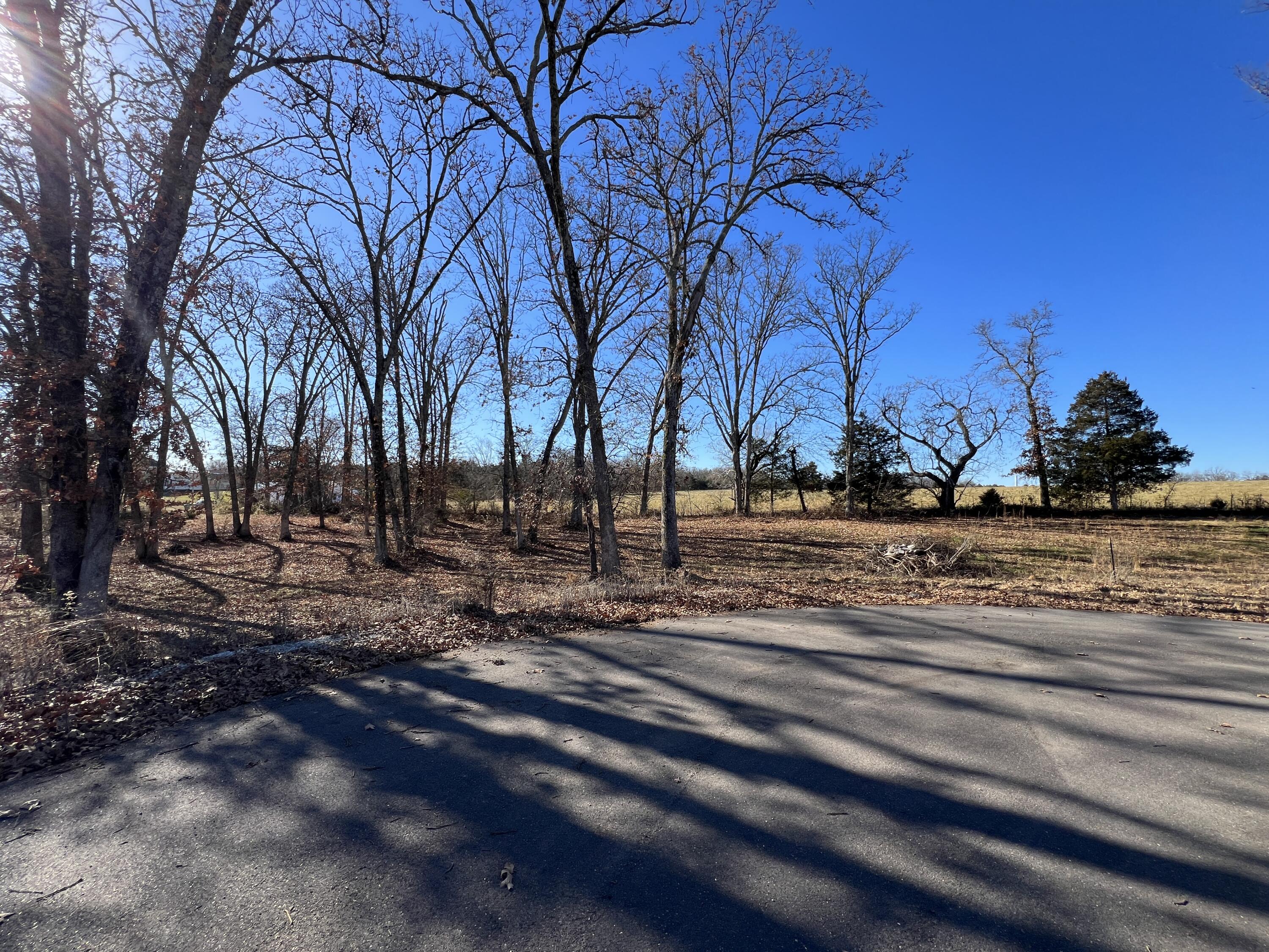 Photo 2 - Land for sale – 8  Cedar Lane  Willow Springs, MO