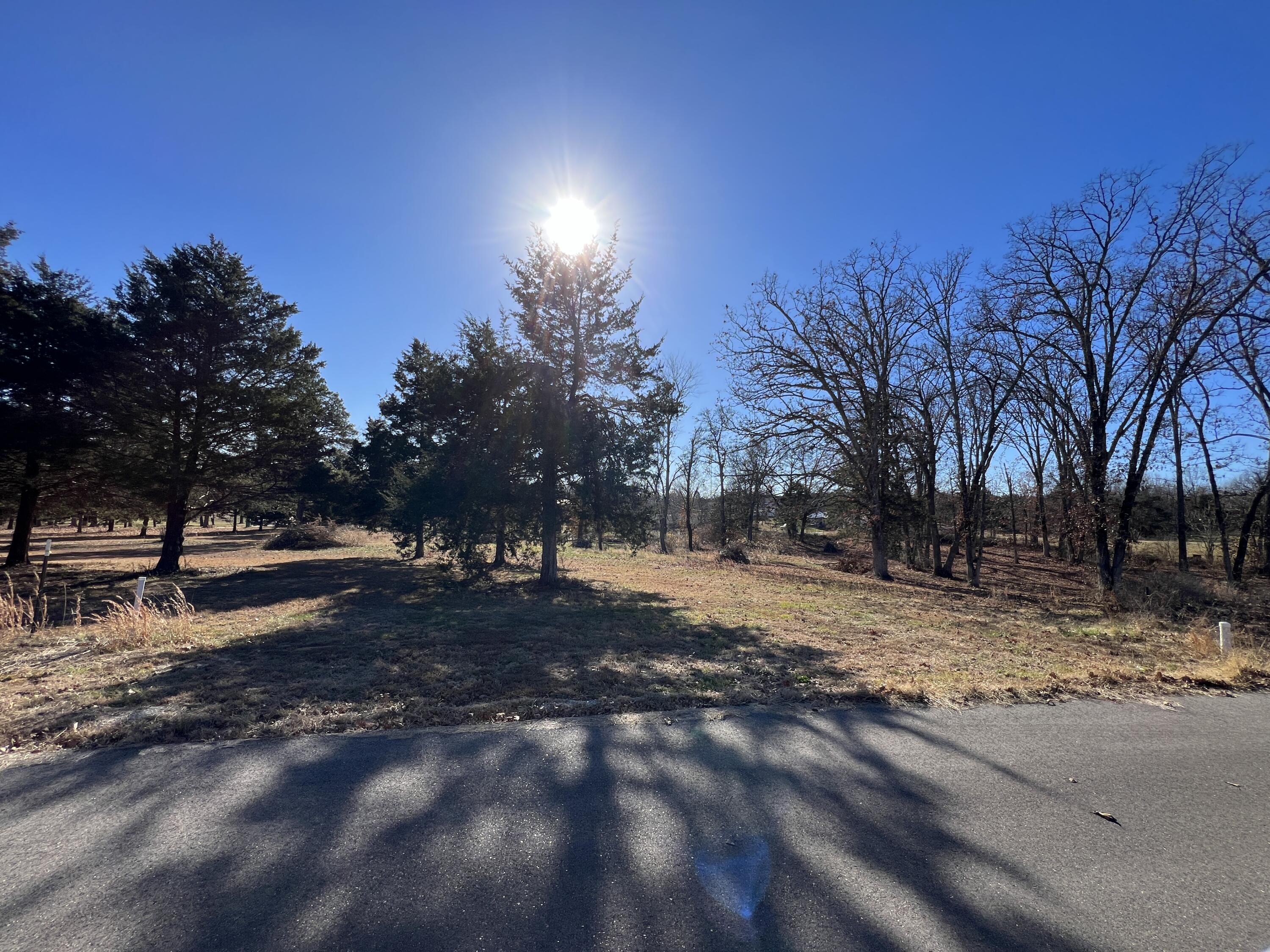 Photo 2 - Land for sale – 9  Cedar Lane  Willow Springs, MO