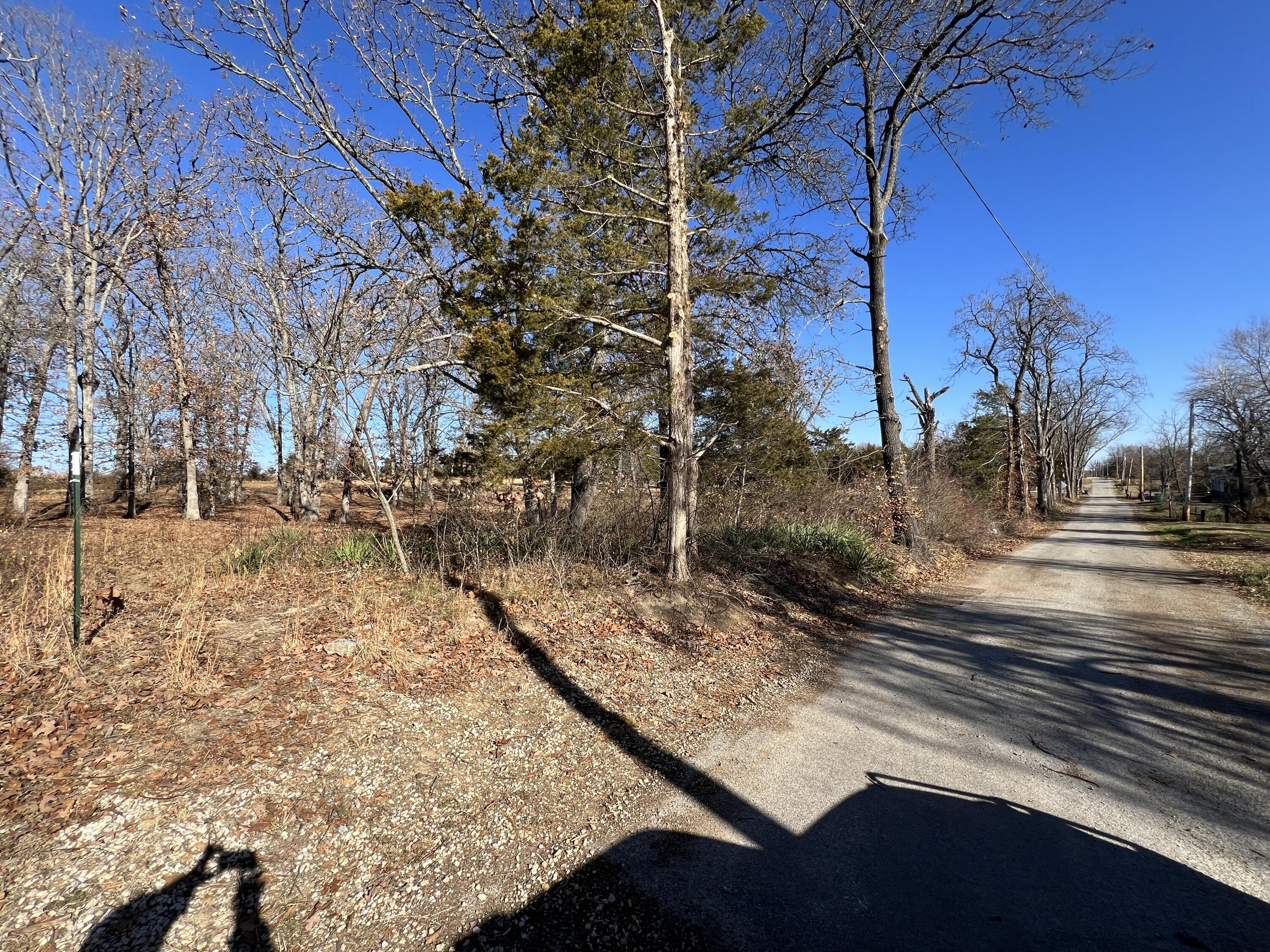 Photo 7 - Land for sale – 21  Cedar Lane  Willow Springs, MO