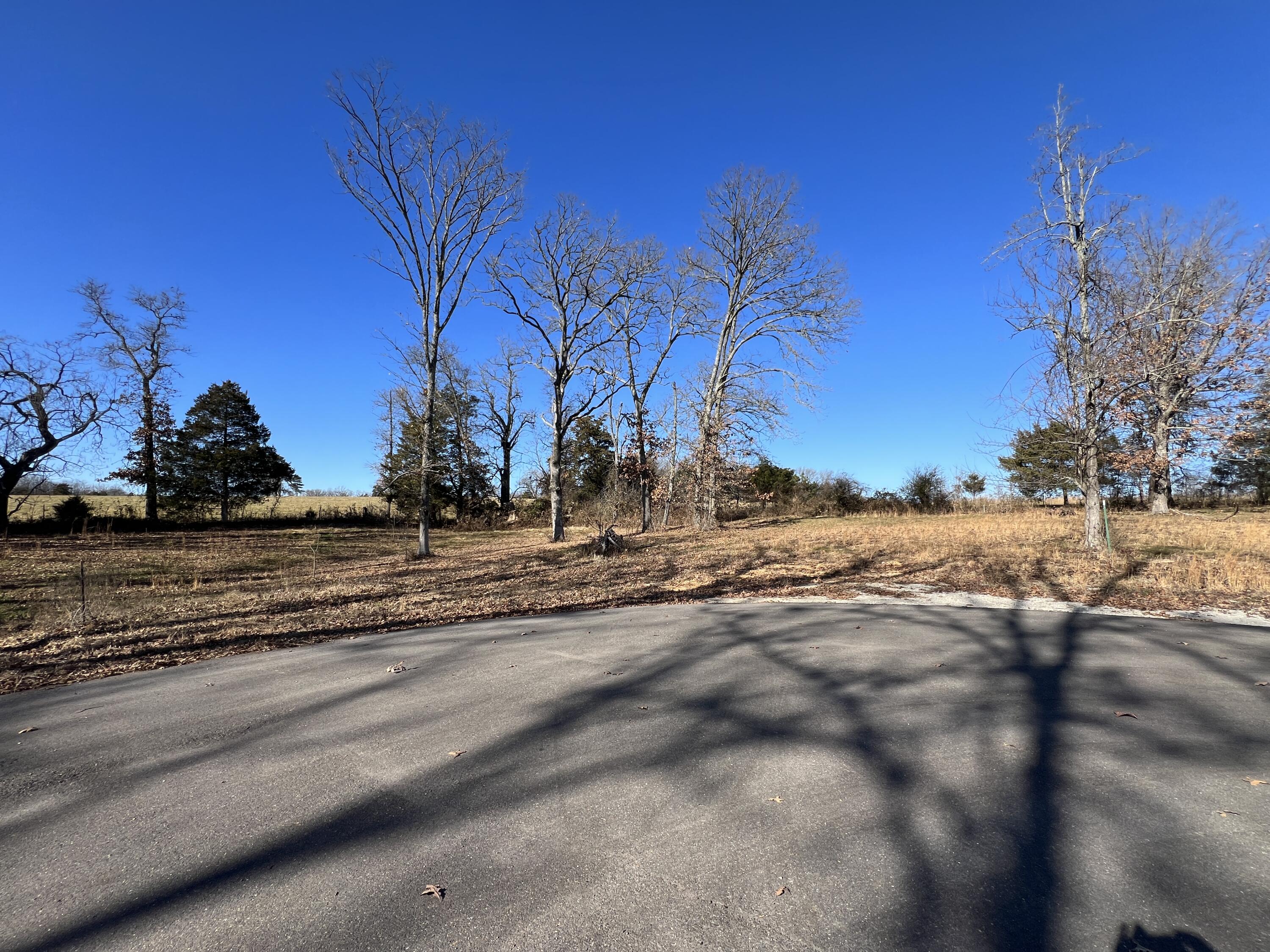 Photo 2 - Land for sale – 21  Cedar Lane  Willow Springs, MO