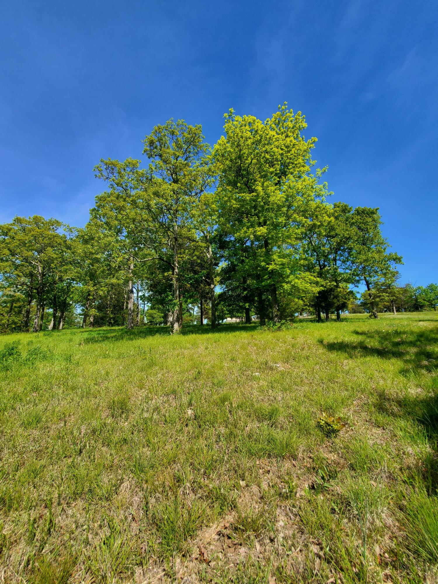 Photo 2 - Land for sale – 20-21-22  Cedar Falls Rd (Lots 20-21&22)   Shell Knob, MO