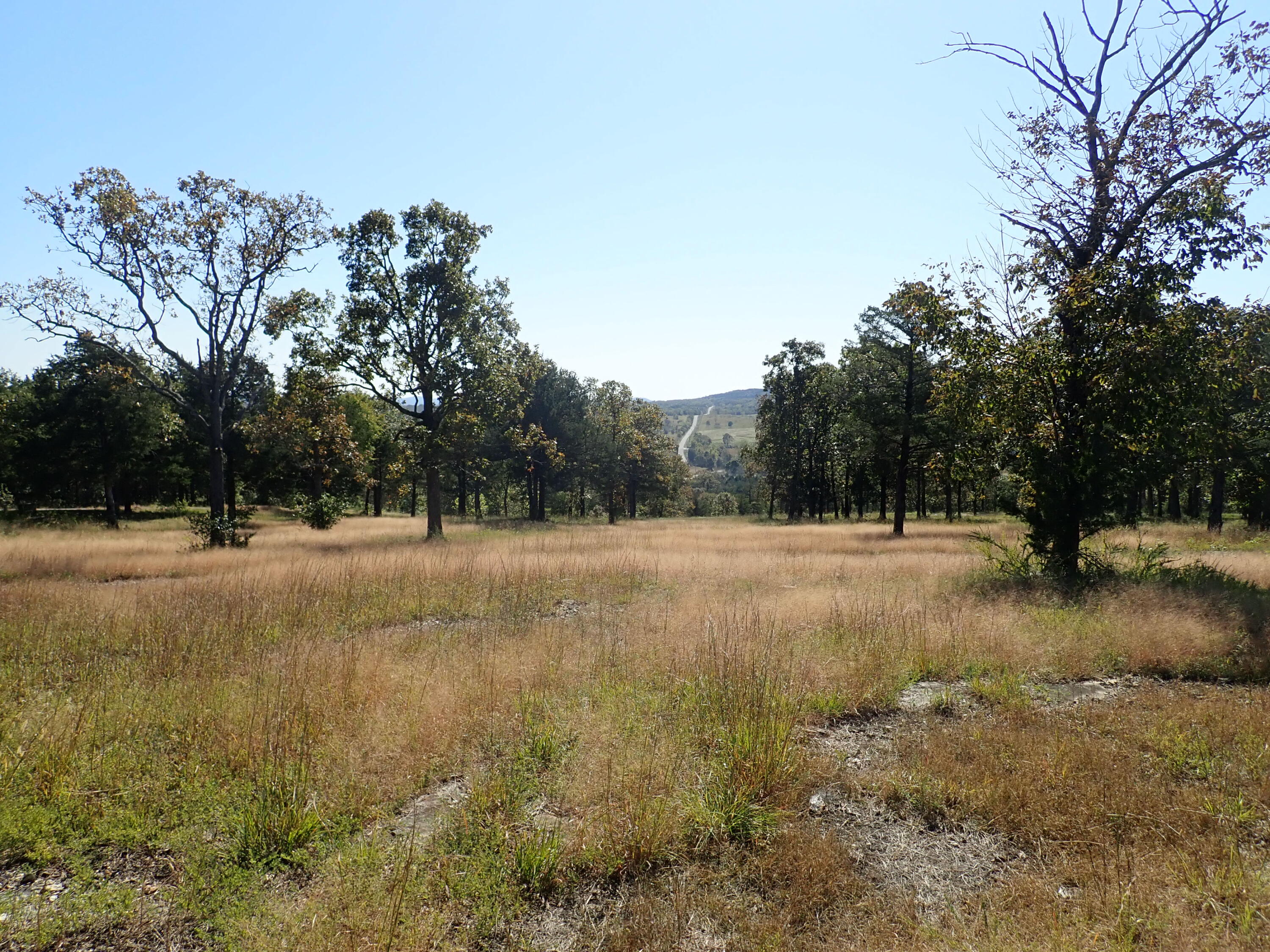 Photo 6 - Land for sale – 20-21-22  Cedar Falls Rd (Lots 20-21&22)   Shell Knob, MO