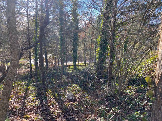 Photo 5 - Land for sale – Lot 13  Stoneykirk   Branson West, MO