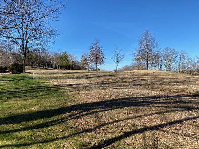 Photo 7 - Land for sale – Lot 13  Stoneykirk   Branson West, MO