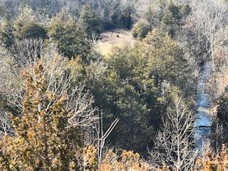 Photo 6 - Land for sale – 000000  Ozark Scenic   Branson, MO