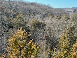 Photo 4 - Land for sale – 000000  Ozark Scenic   Branson, MO