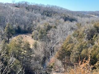 Land for sale – 000000  Ozark Scenic   Branson, MO