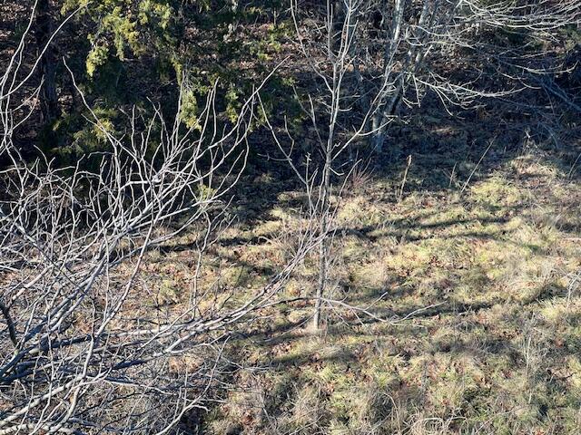 Photo 8 - Land for sale – 000000  Ozark Scenic   Branson, MO