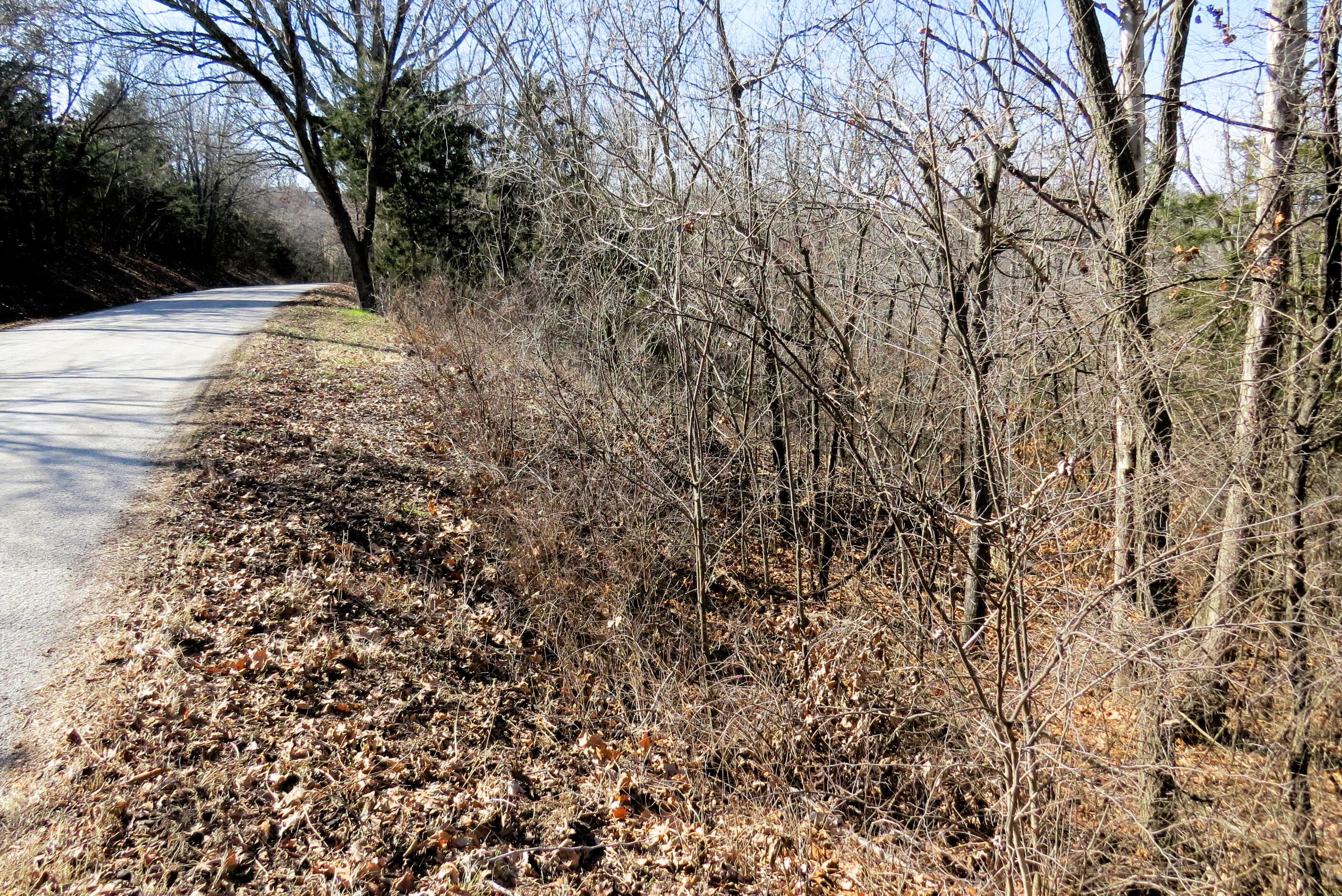 Land for sale – Lot 273a Hill Haven Road Hollister, MO