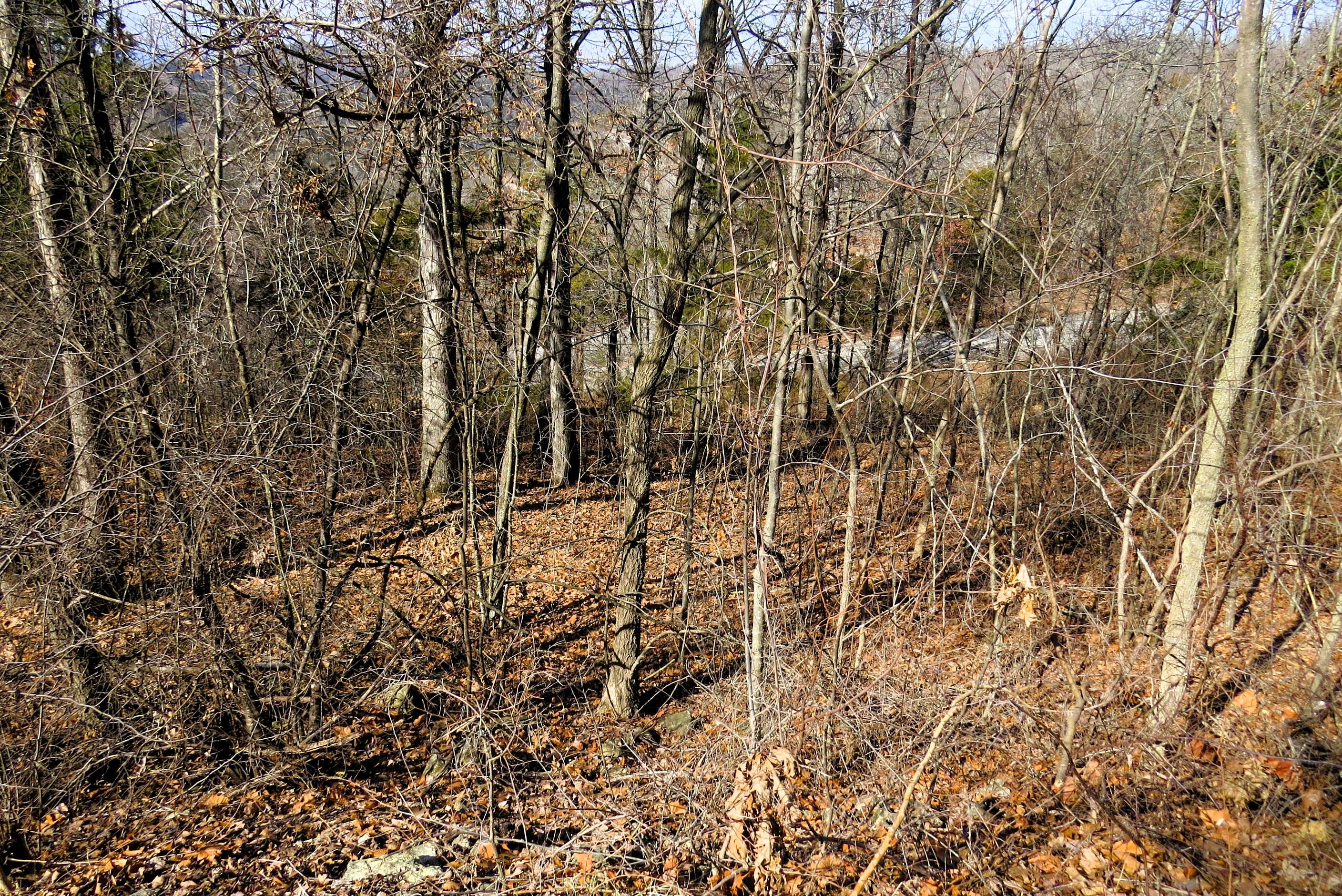 Photo 2 - Land for sale – Lot 273a  Hill Haven Road  Hollister, MO