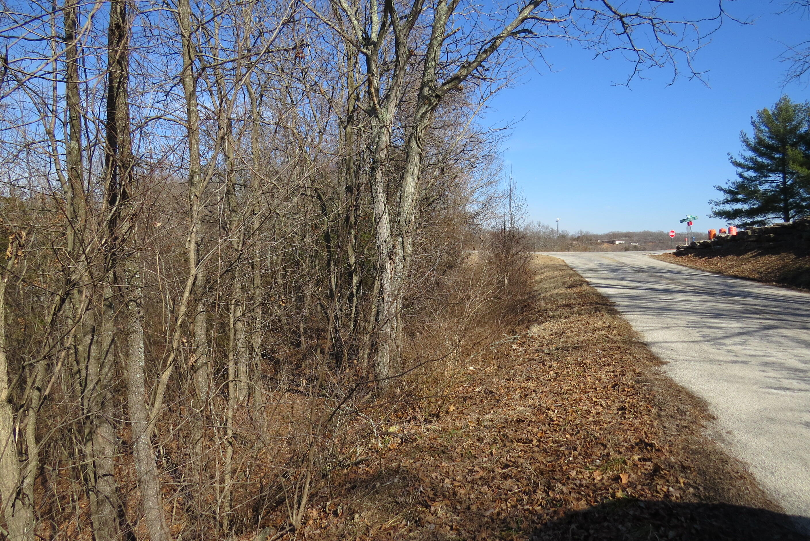 Photo 3 - Land for sale – Lot 273a  Hill Haven Road  Hollister, MO