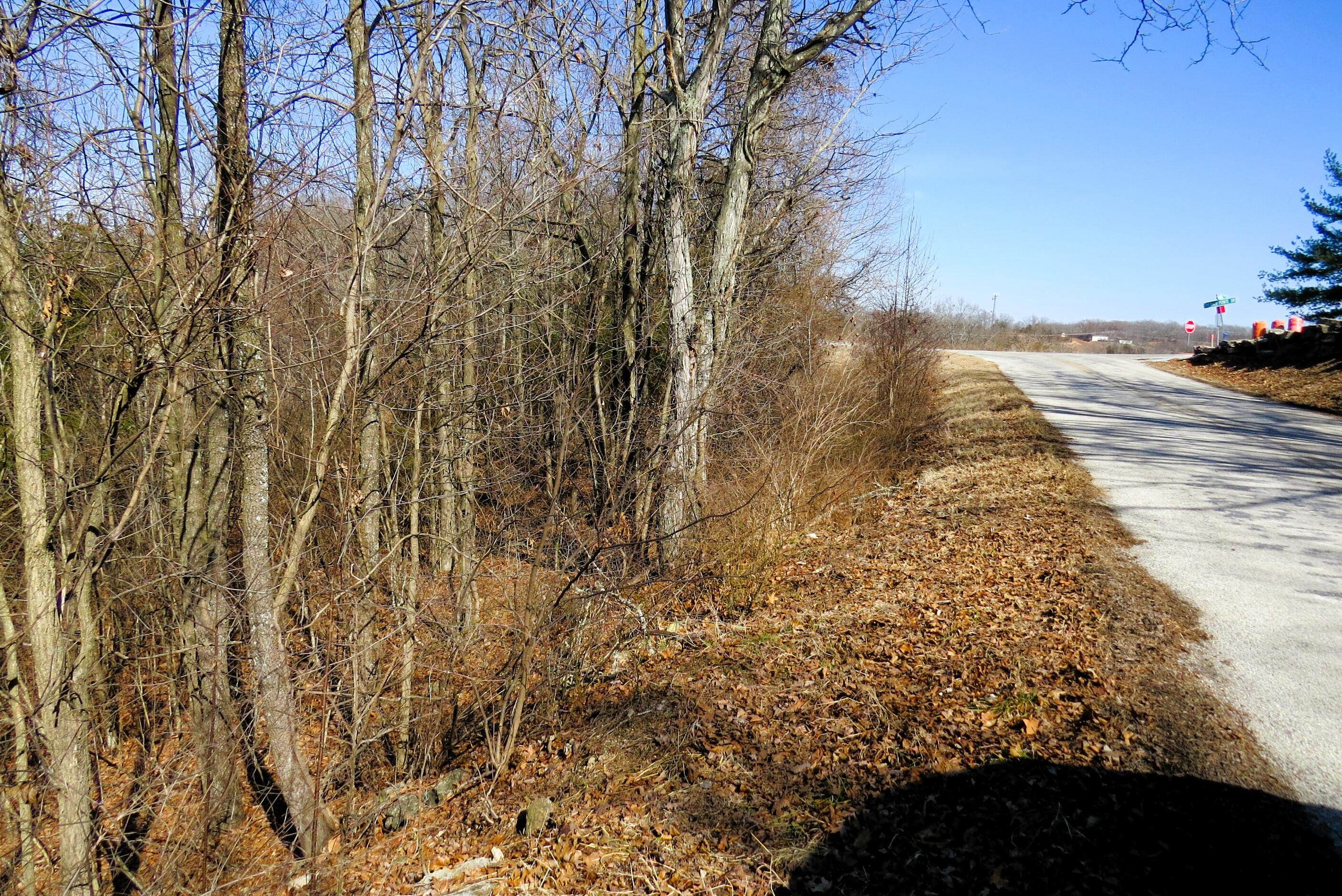 Photo 5 - Land for sale – Lot 273a  Hill Haven Road  Hollister, MO