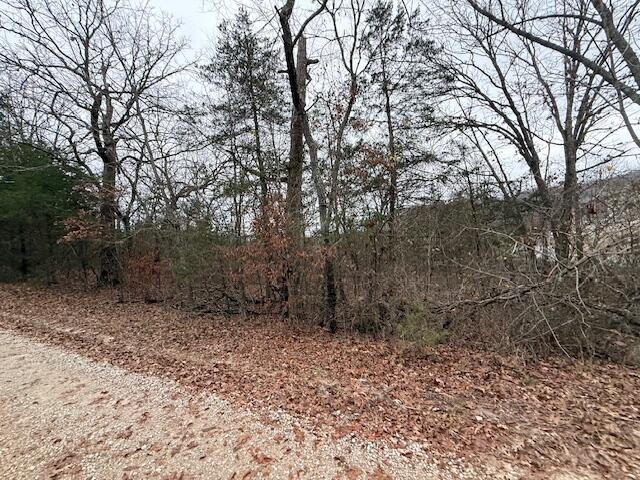 Photo 2 - Land for sale – 0  Linden Lane  Shell Knob, MO