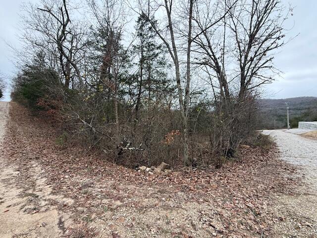 Photo 3 - Land for sale – 0  Linden Lane  Shell Knob, MO