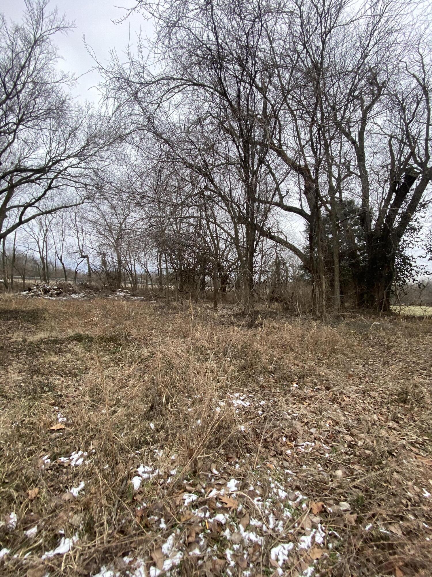 Photo 15 - Land for sale – 1.16 Acres W Norton Road  Springfield, MO