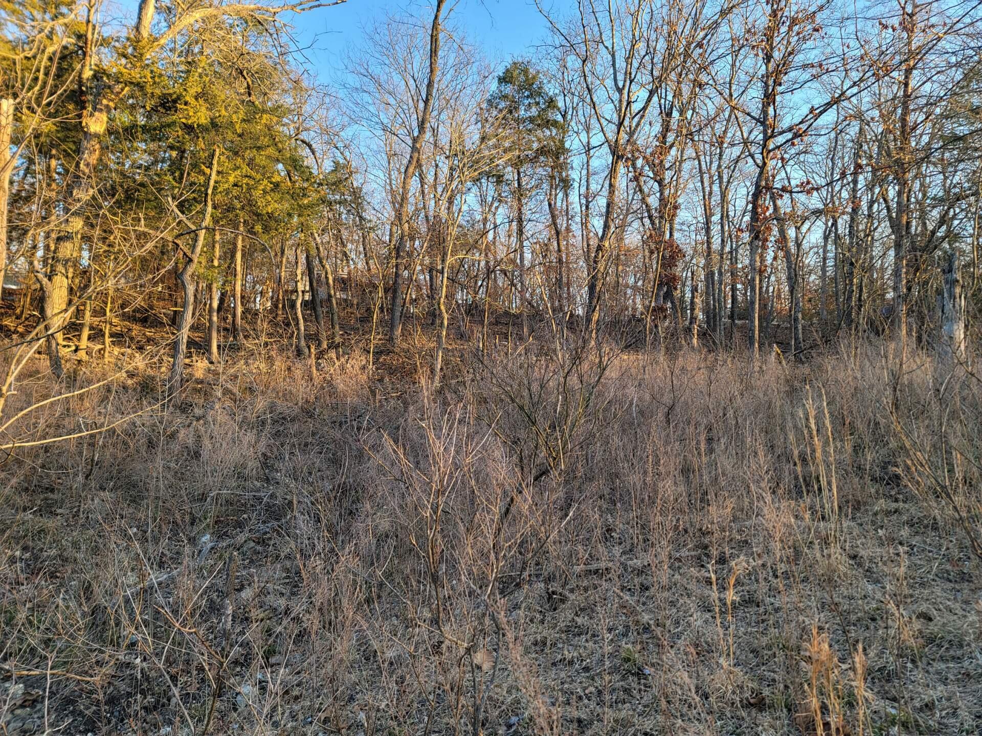 Photo 2 - Land for sale – 21031  Possum Trot Trail  Wheatland, MO