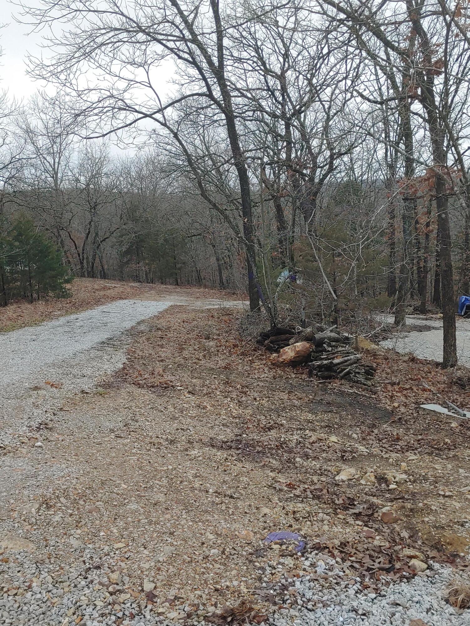 Photo 4 - Land for sale – 21031  Possum Trot Trail  Wheatland, MO
