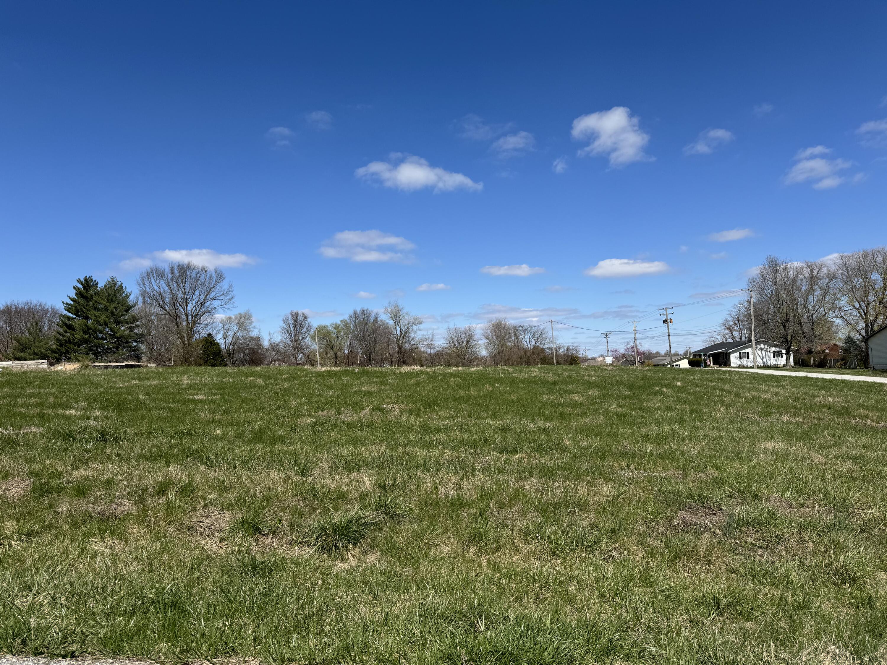 Land for sale – 000 E College East   Bolivar, MO