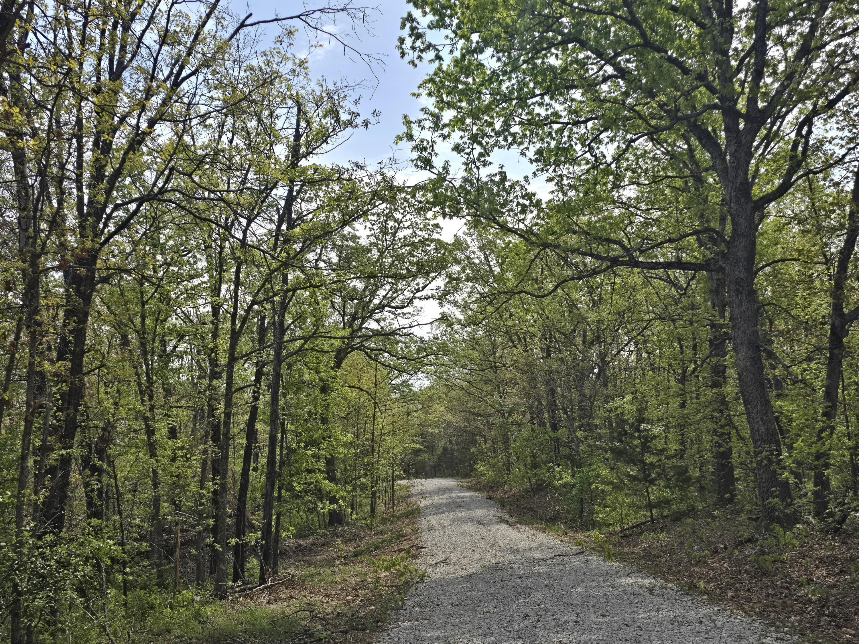 Photo 10 - Land for sale – Tract L  Greatview Lane  Lebanon, MO
