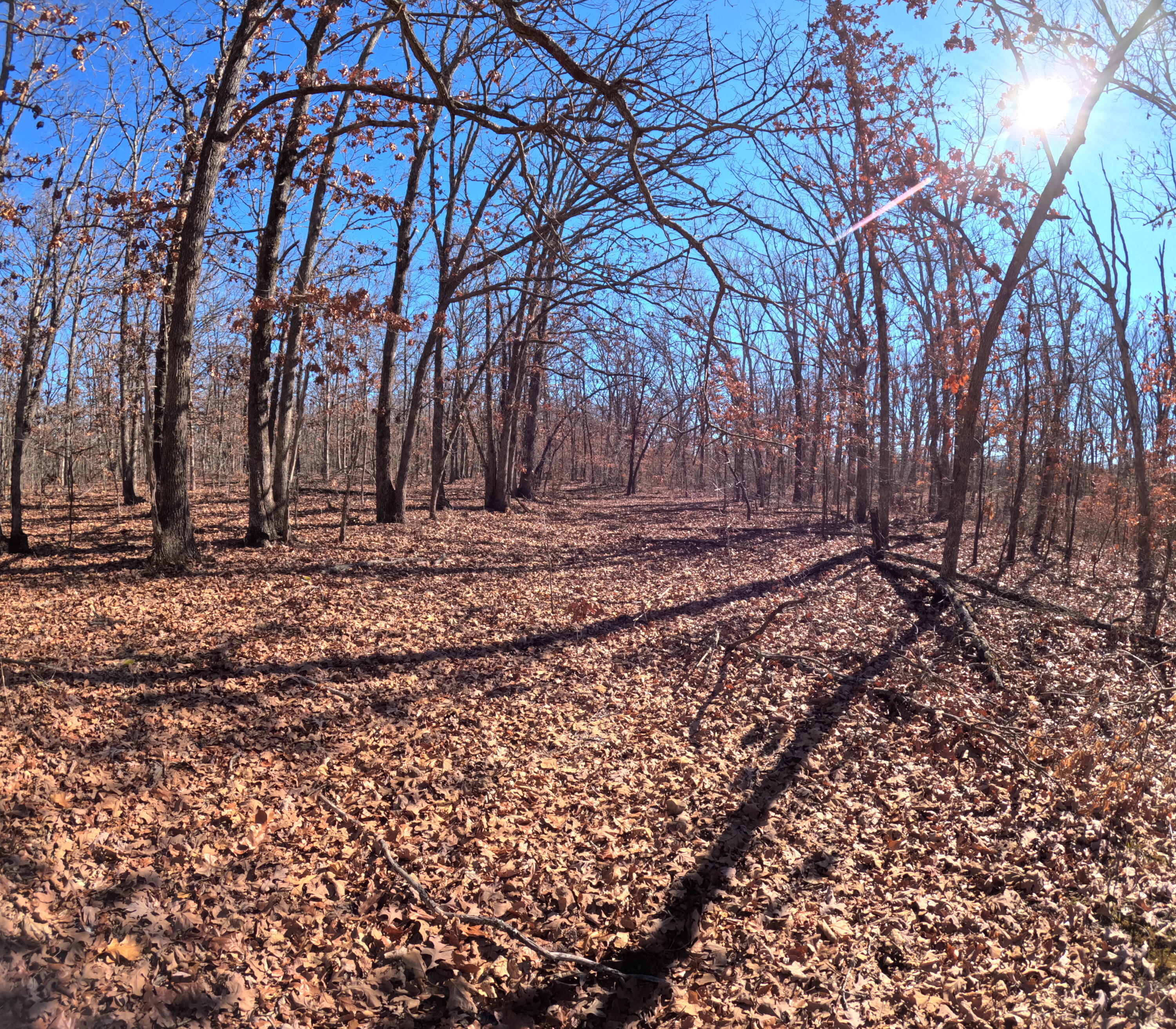 Photo 3 - Land for sale – Tract Q  Galaxy Lane Lane  Lebanon, MO