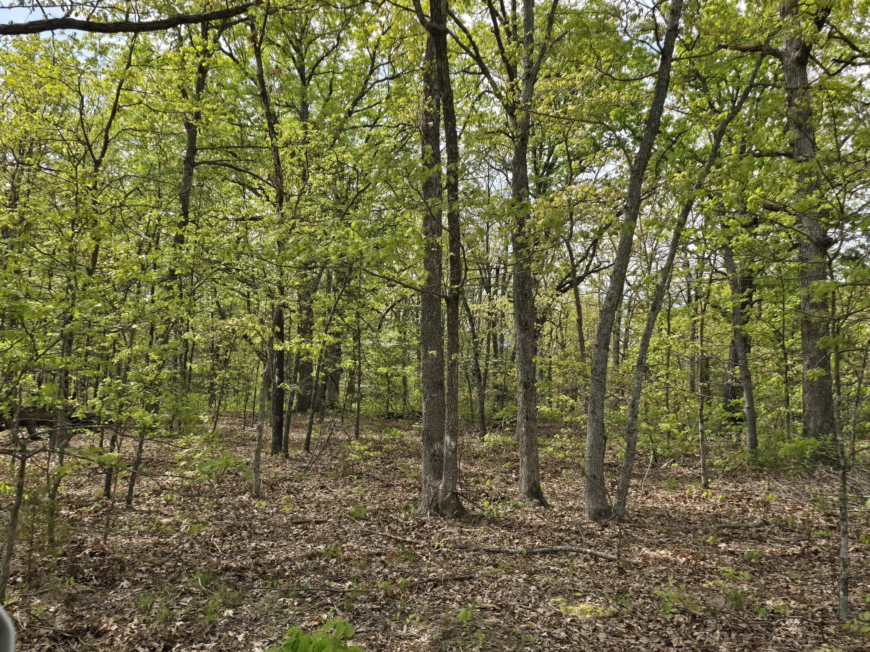 Photo 12 - Land for sale – Tract Q  Galaxy Lane Lane  Lebanon, MO