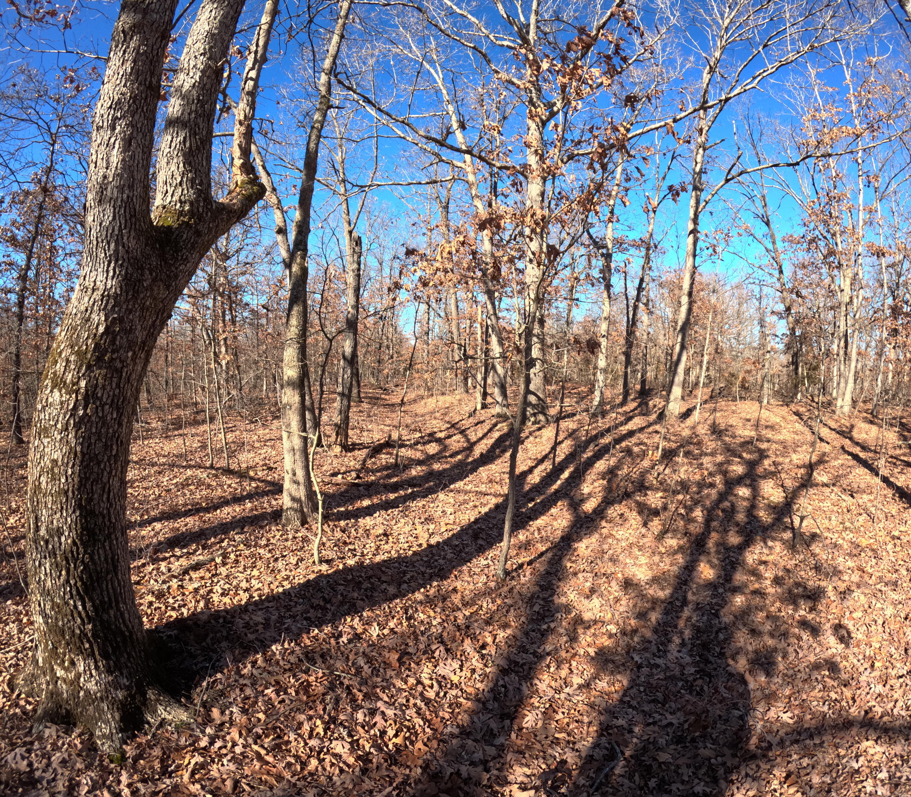 Photo 2 - Land for sale – Tract M  Greatview Lane  Lebanon, MO