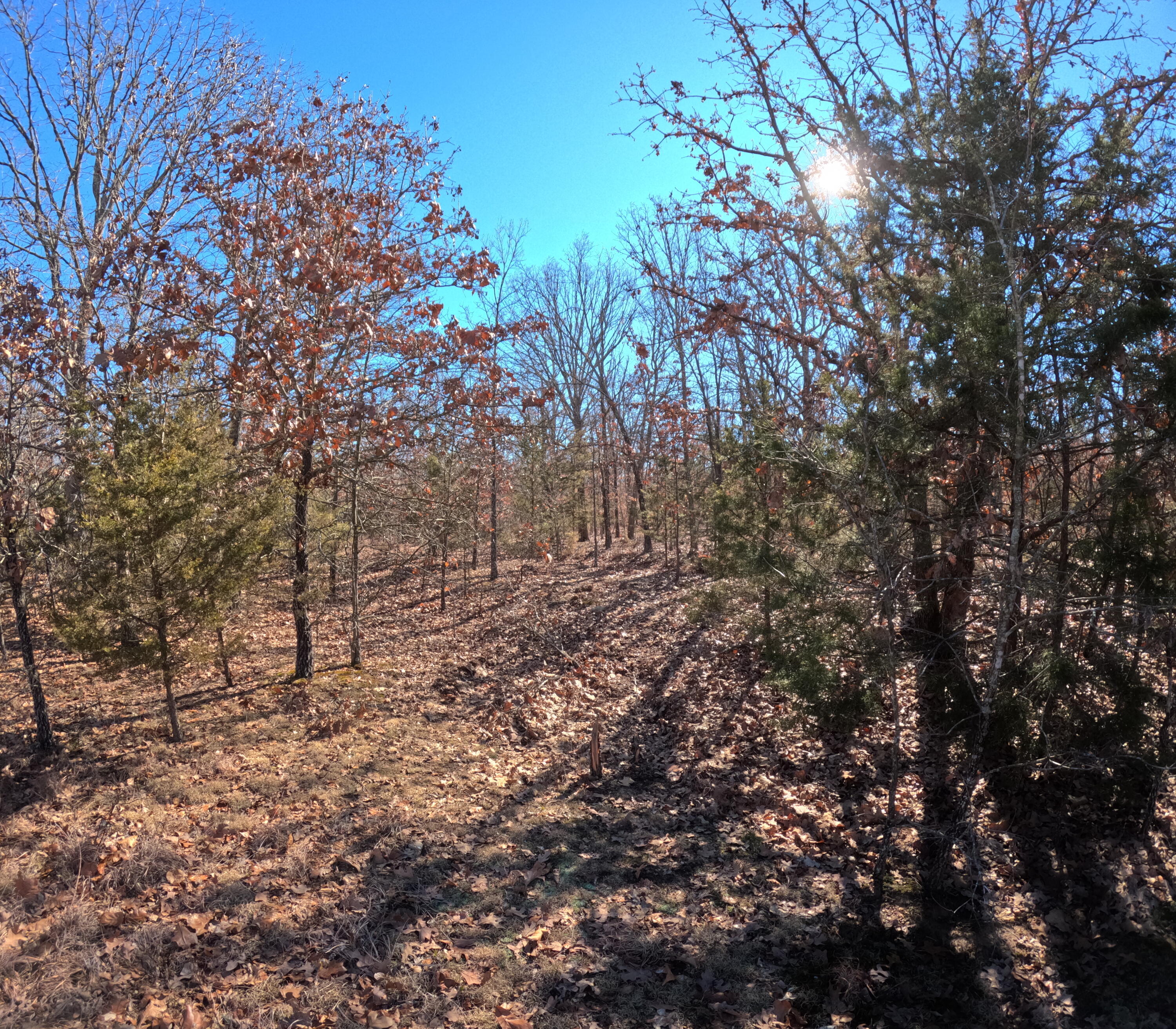 Land for sale – Tract T  Greatview Lane  Lebanon, MO