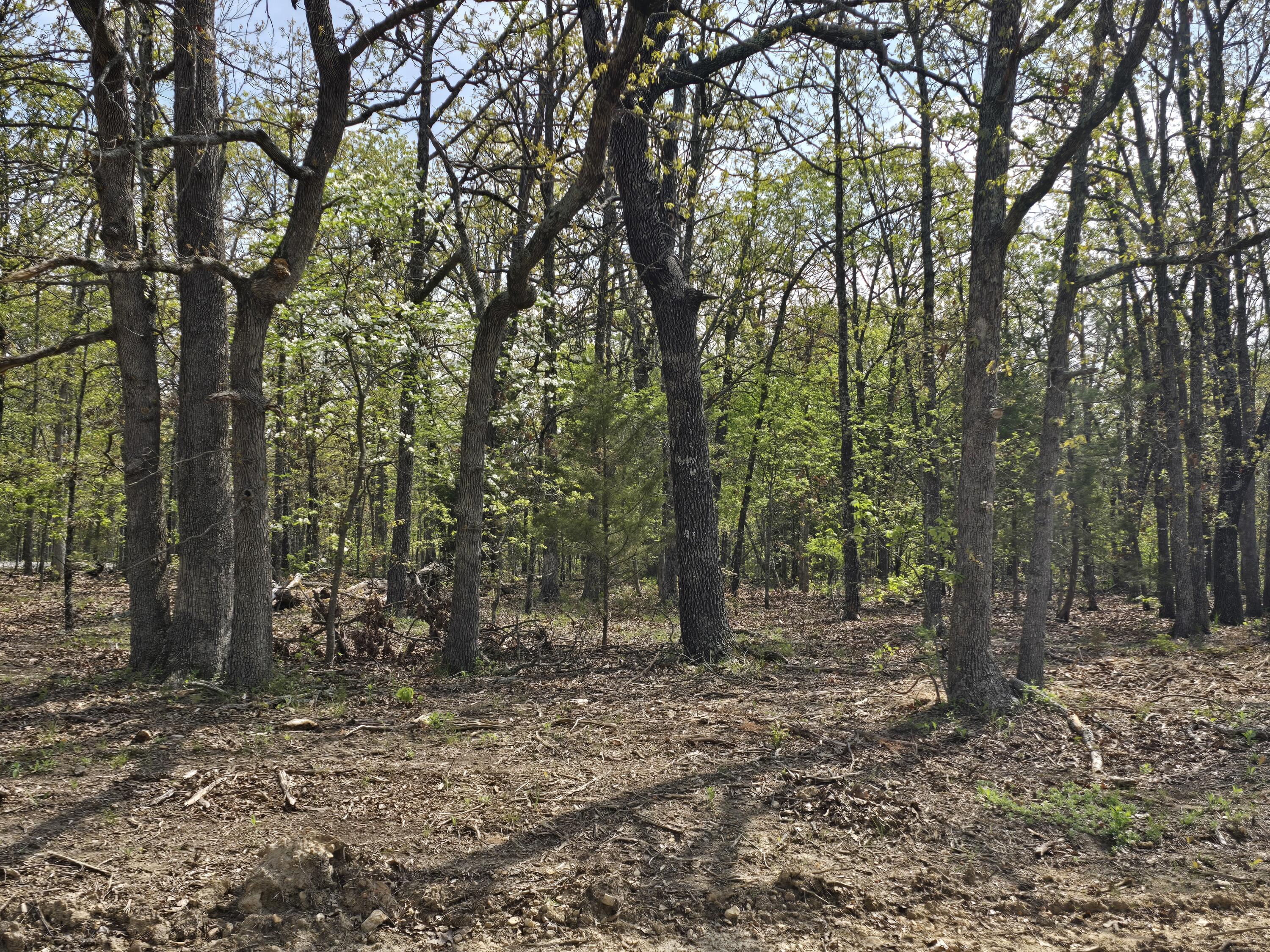 Photo 5 - Land for sale – Tract T  Greatview Lane  Lebanon, MO