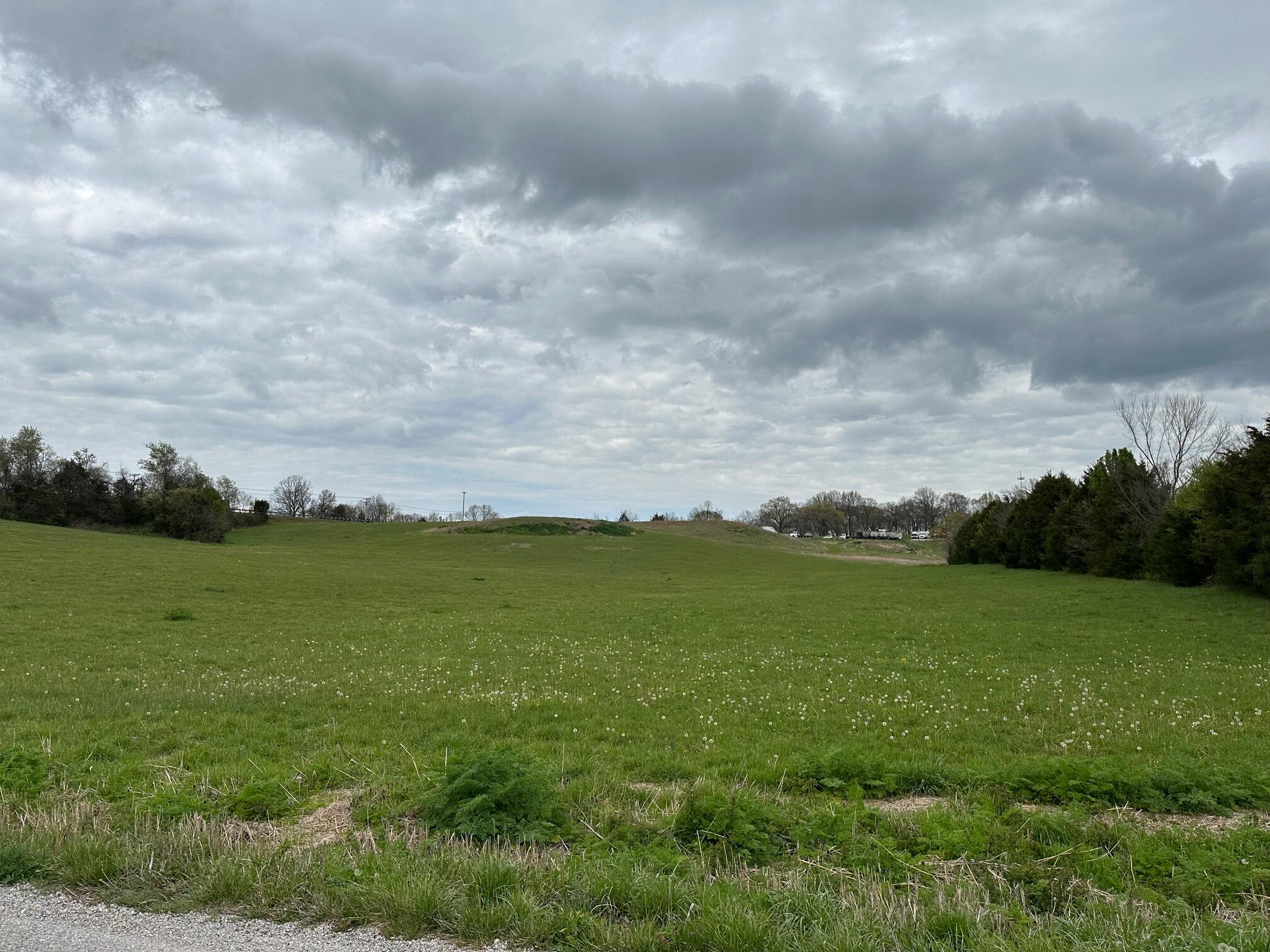 Commercial Sale for sale – 1500/1512 S Main Street Nixa, MO