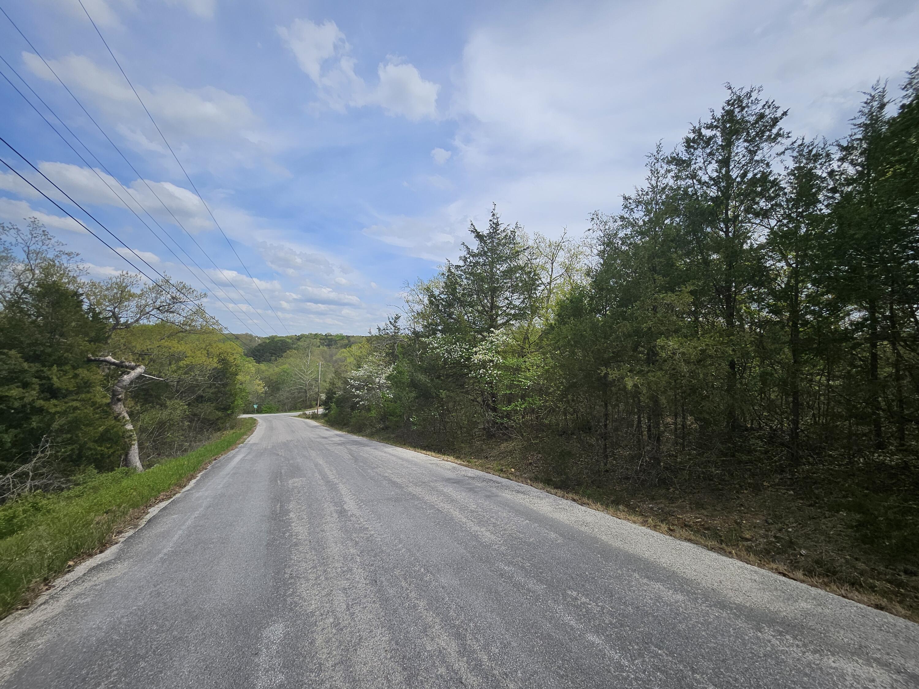 Photo 15 - Land for sale – 000  Guillian Drive  Branson, MO