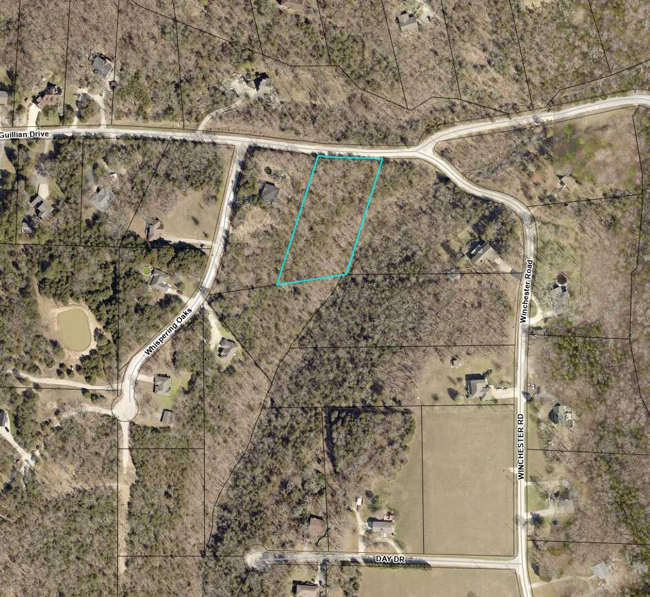 Photo 13 - Land for sale – 000  Guillian Drive  Branson, MO