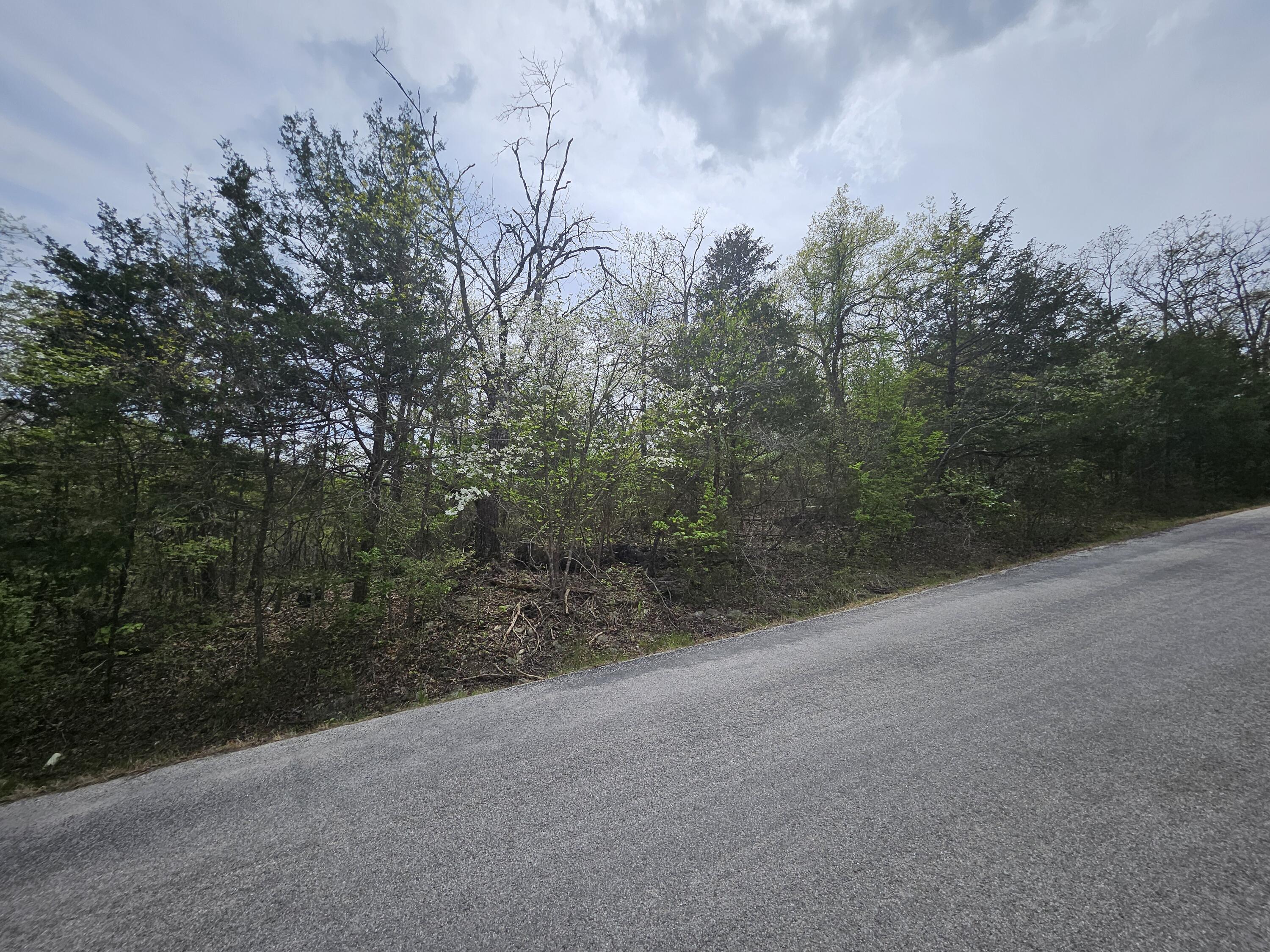 Photo 16 - Land for sale – 000  Guillian Drive  Branson, MO