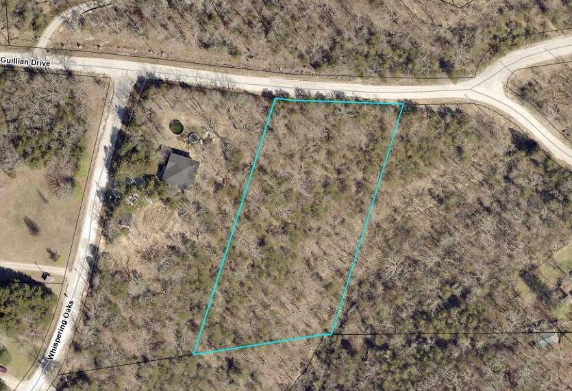 Photo 4 - Land for sale – 000  Guillian Drive  Branson, MO