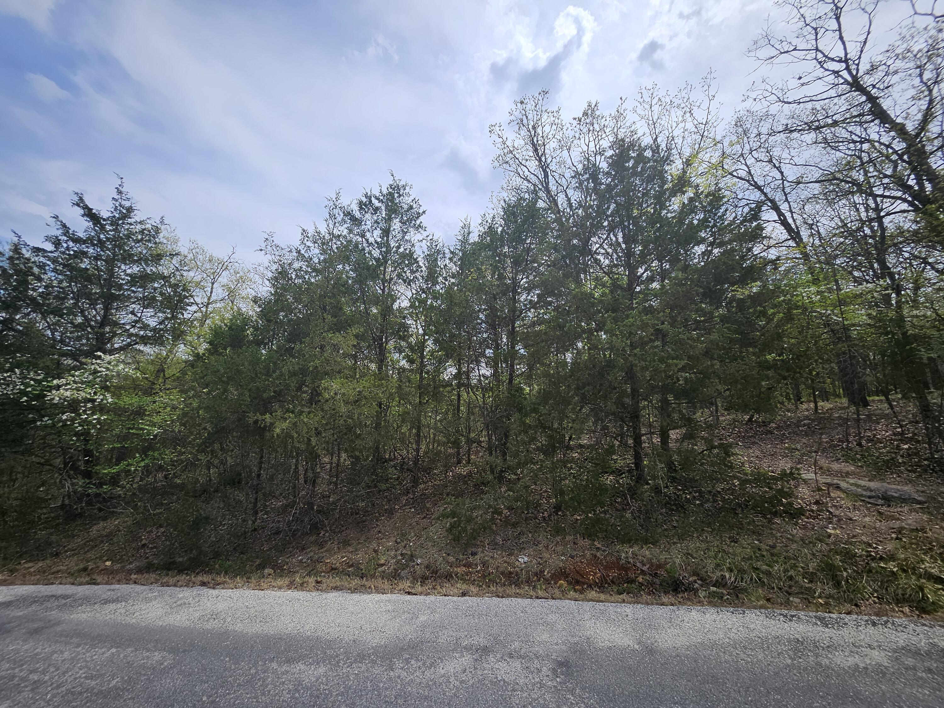 Land for sale – 000  Guillian Drive  Branson, MO