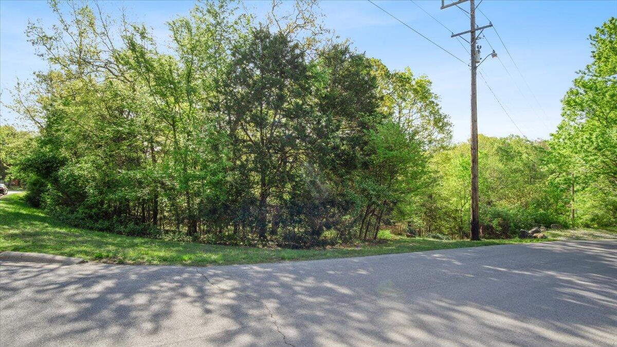 Photo 2 - Land for sale – 260  Hobart   Forsyth, MO