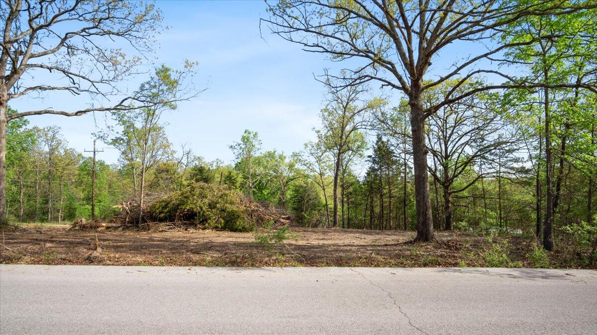 Land for sale – 250  Vin Villa   Forsyth, MO