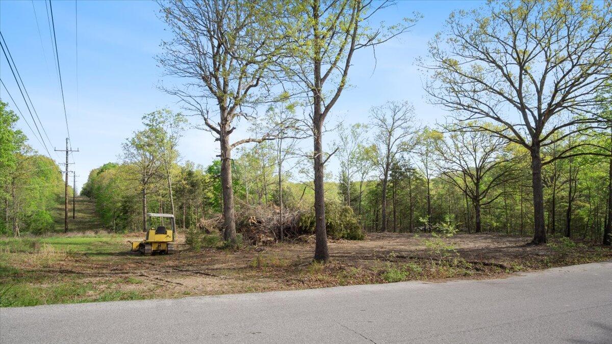Photo 5 - Land for sale – 250  Vin Villa   Forsyth, MO